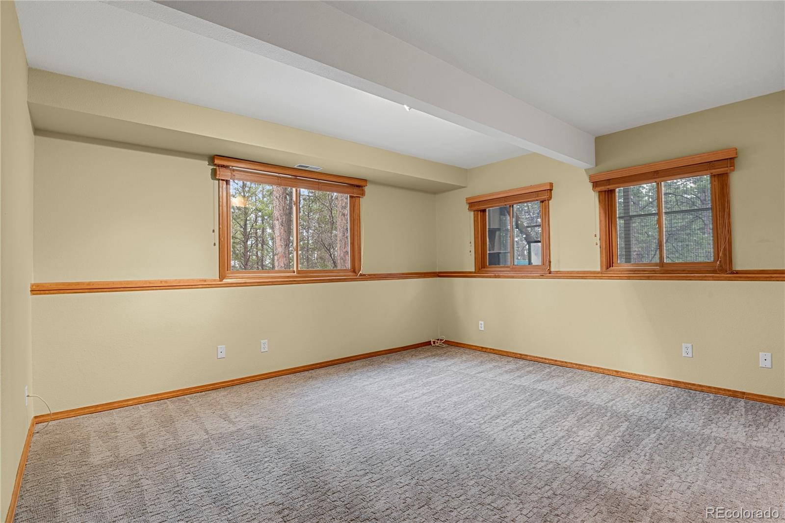 MLS Image #23 for 17520  shiloh pines drive,monument, Colorado