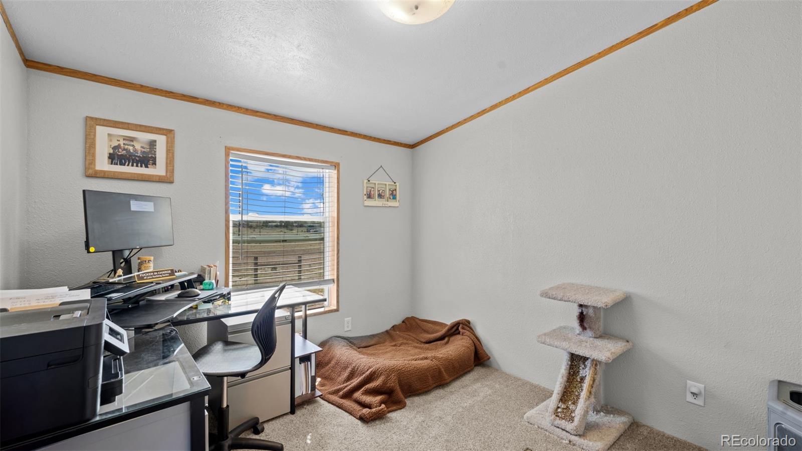 MLS Image #18 for 33975  state highway 94 ,yoder, Colorado