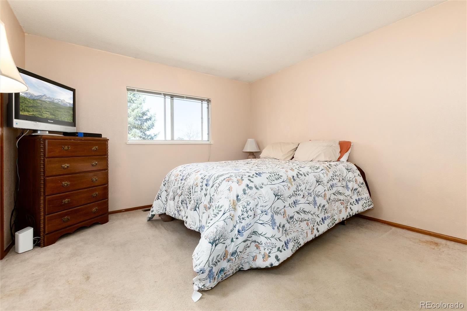 MLS Image #14 for 5951 s perth street,centennial, Colorado