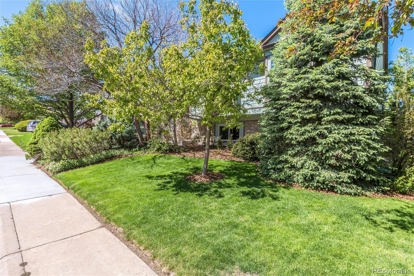MLS Image #2 for 5951 s perth street,centennial, Colorado