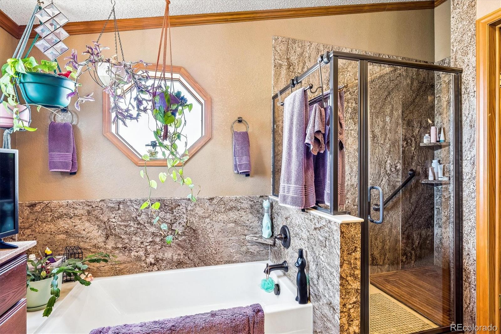 MLS Image #10 for 781 s biloxi street,aurora, Colorado