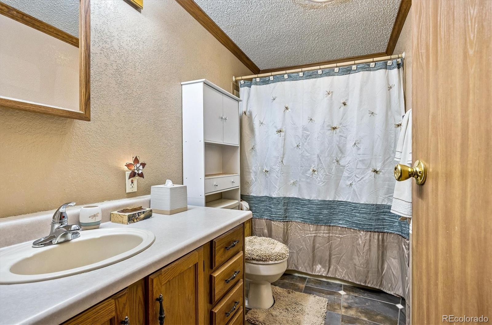 MLS Image #12 for 781 s biloxi street,aurora, Colorado