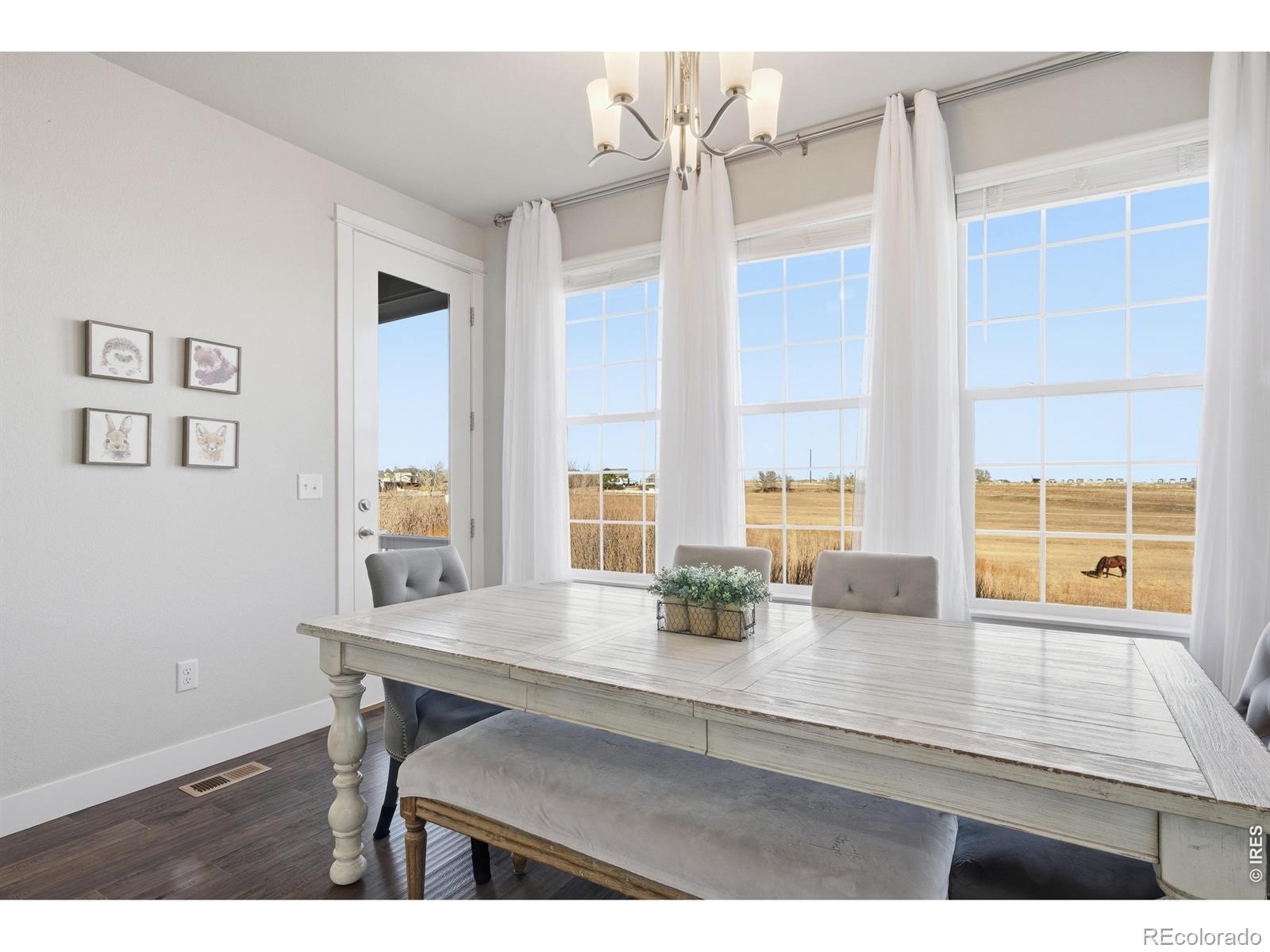 MLS Image #17 for 270  mt harvard avenue,severance, Colorado