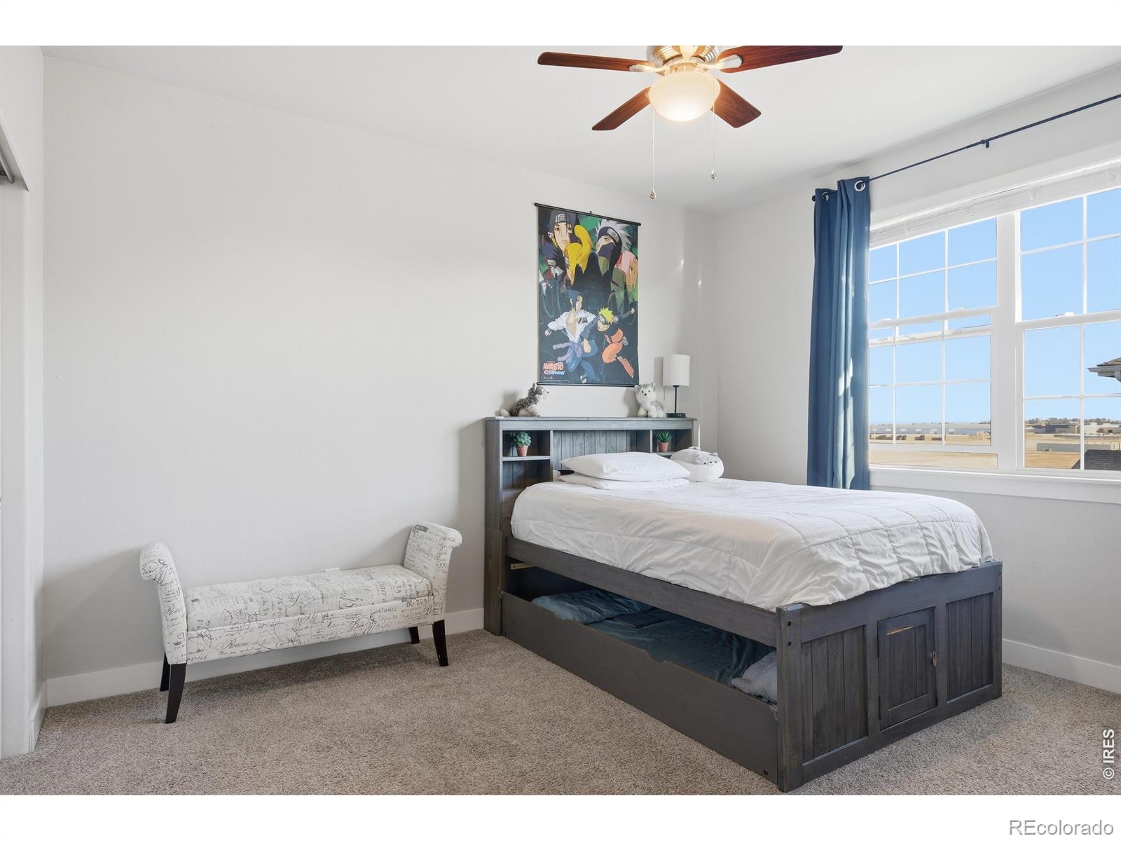 MLS Image #32 for 270  mt harvard avenue,severance, Colorado