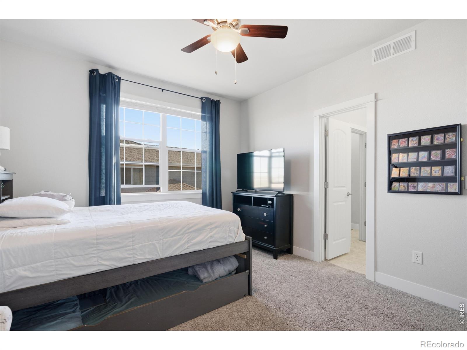 MLS Image #33 for 270  mt harvard avenue,severance, Colorado