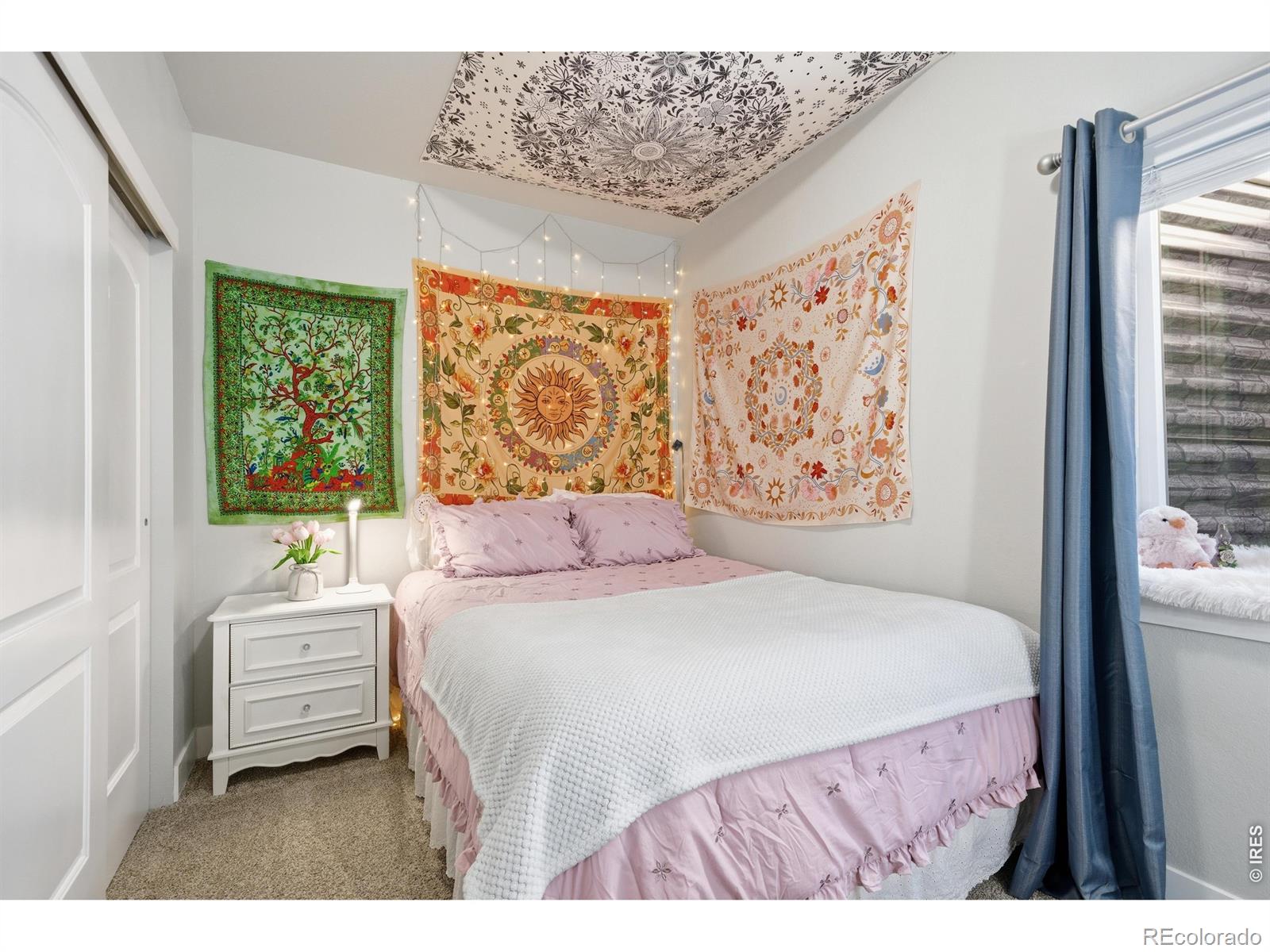 MLS Image #43 for 270  mt harvard avenue,severance, Colorado