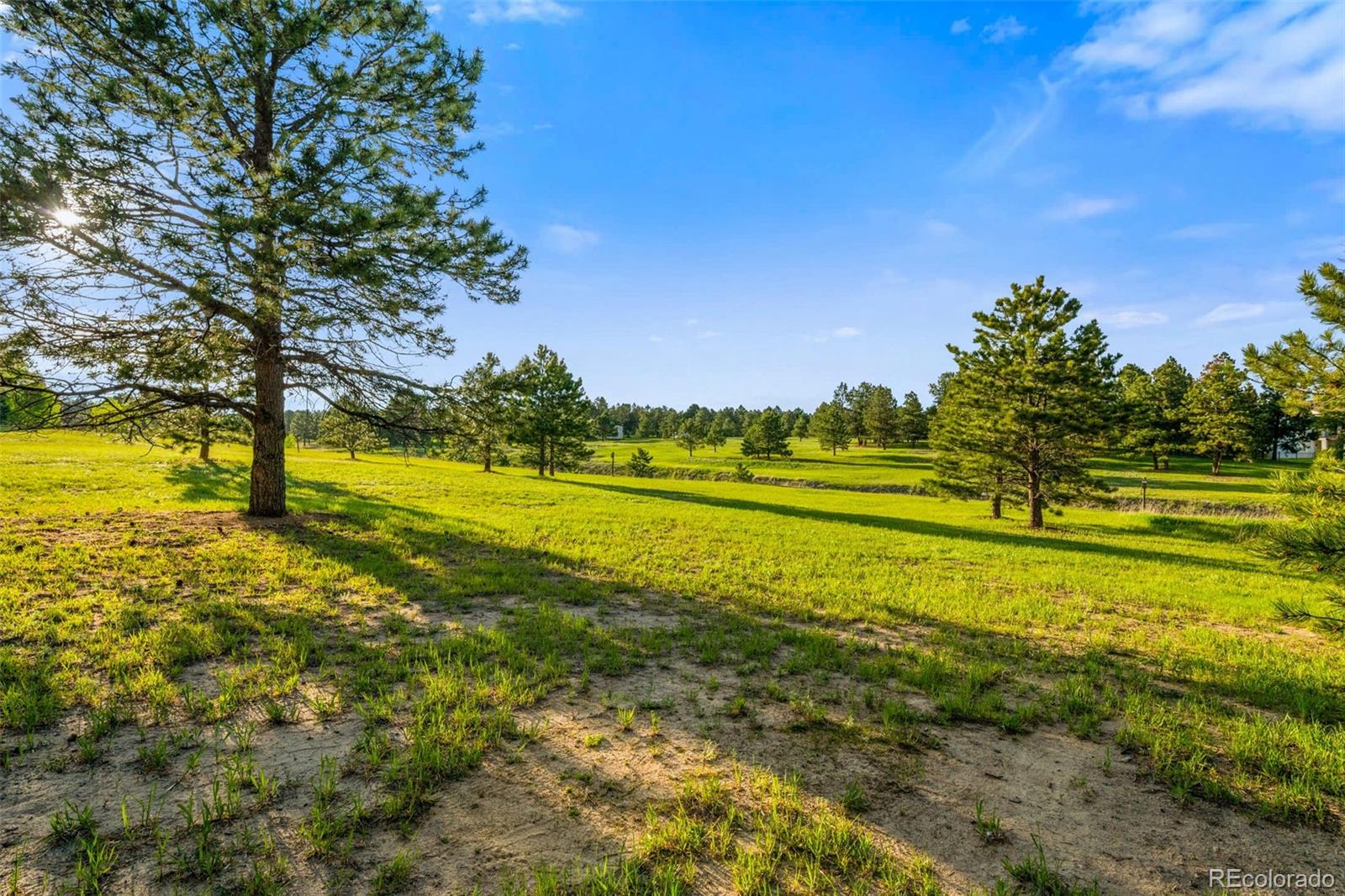 MLS Image #41 for 19035  purser court,monument, Colorado