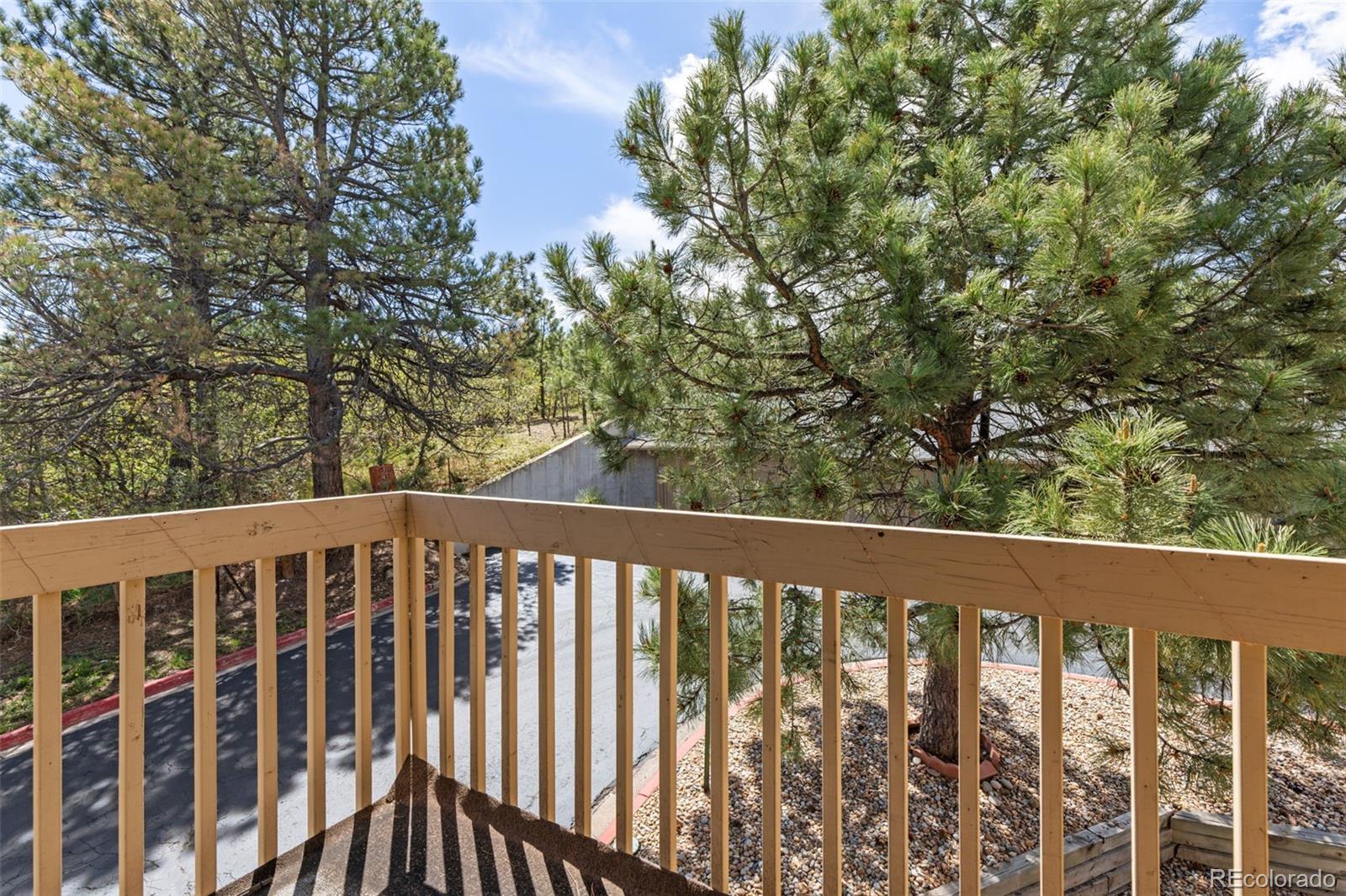 MLS Image #16 for 252 s oman road,castle rock, Colorado