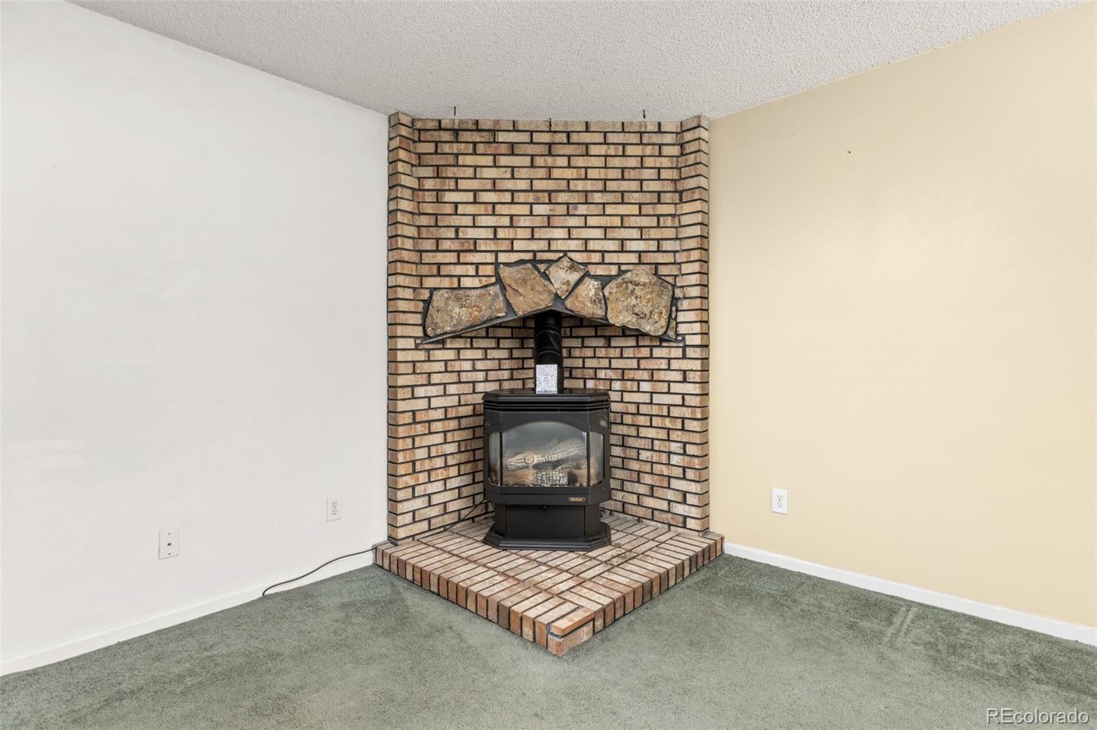 MLS Image #5 for 252 s oman road,castle rock, Colorado