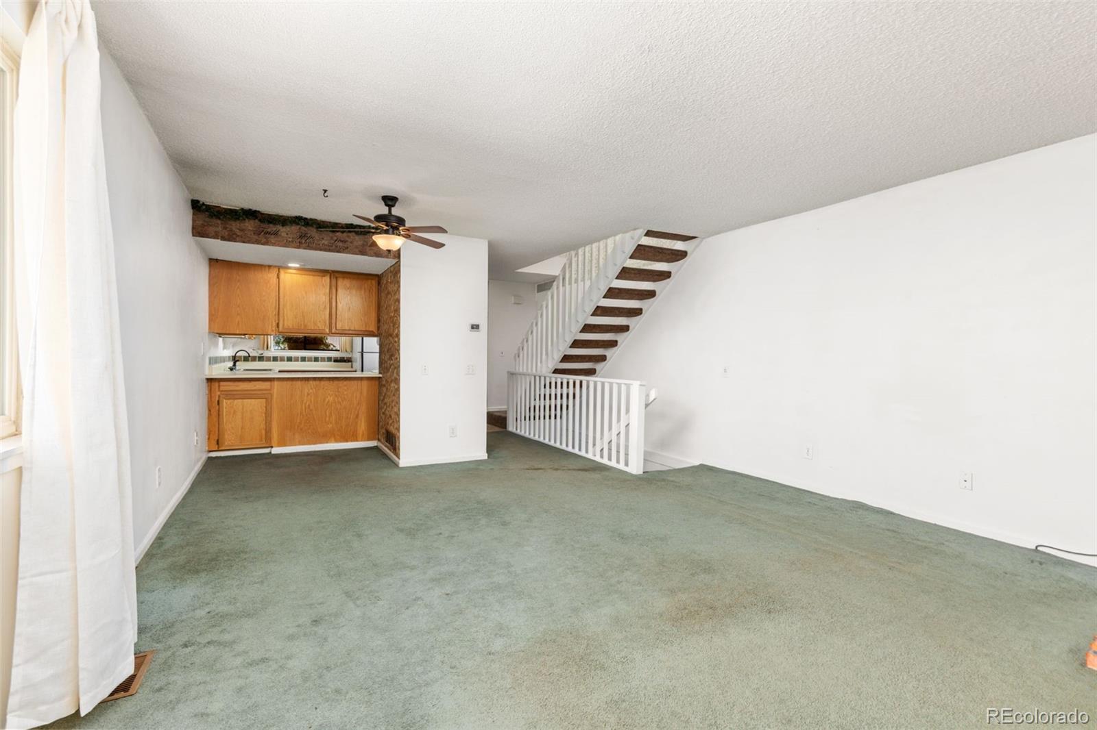 MLS Image #6 for 252 s oman road,castle rock, Colorado
