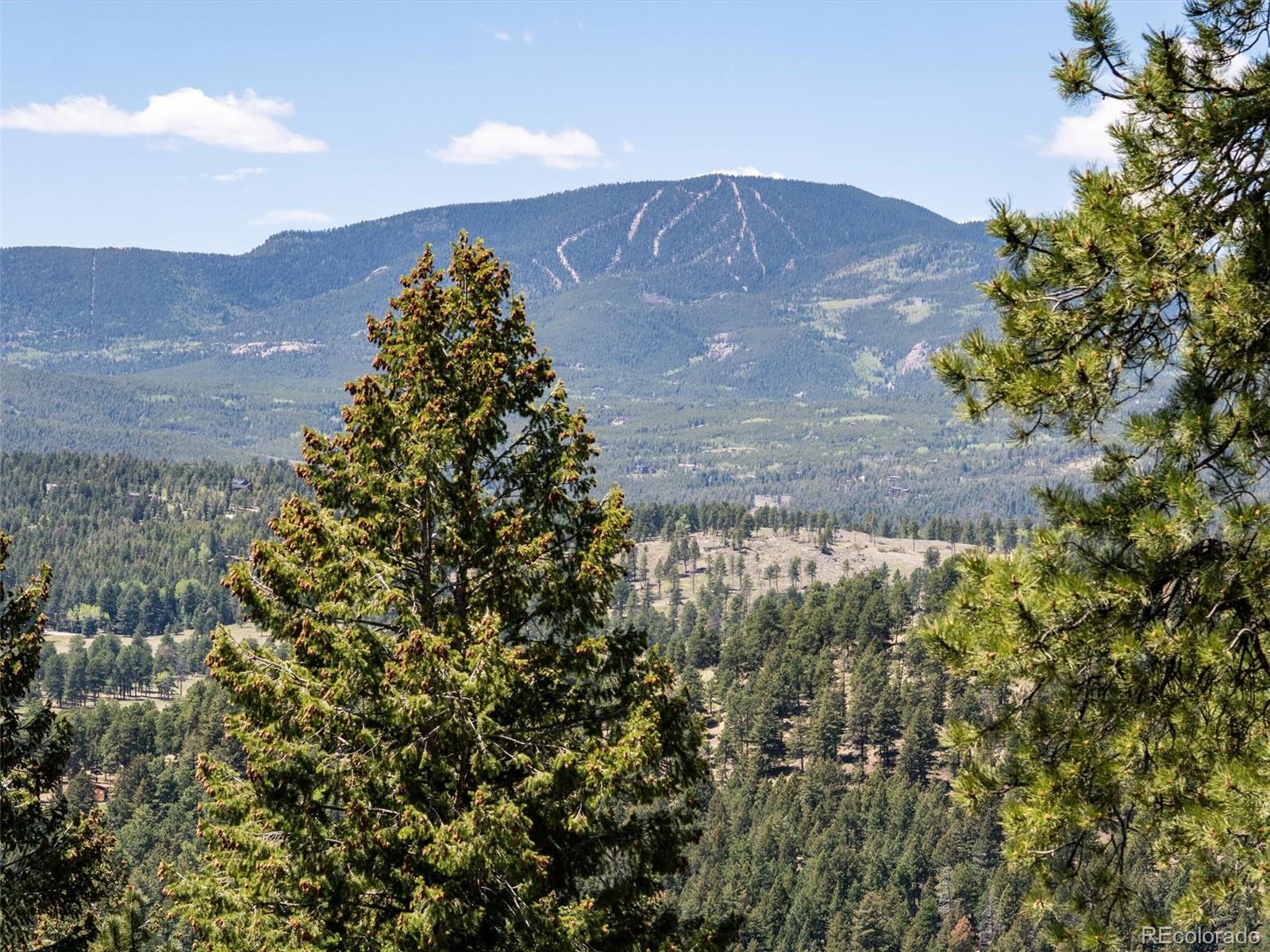 MLS Image #33 for 26761  hilltop road,evergreen, Colorado