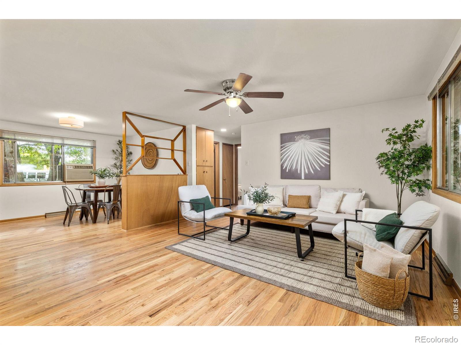 MLS Image #6 for 1224  judson street,longmont, Colorado