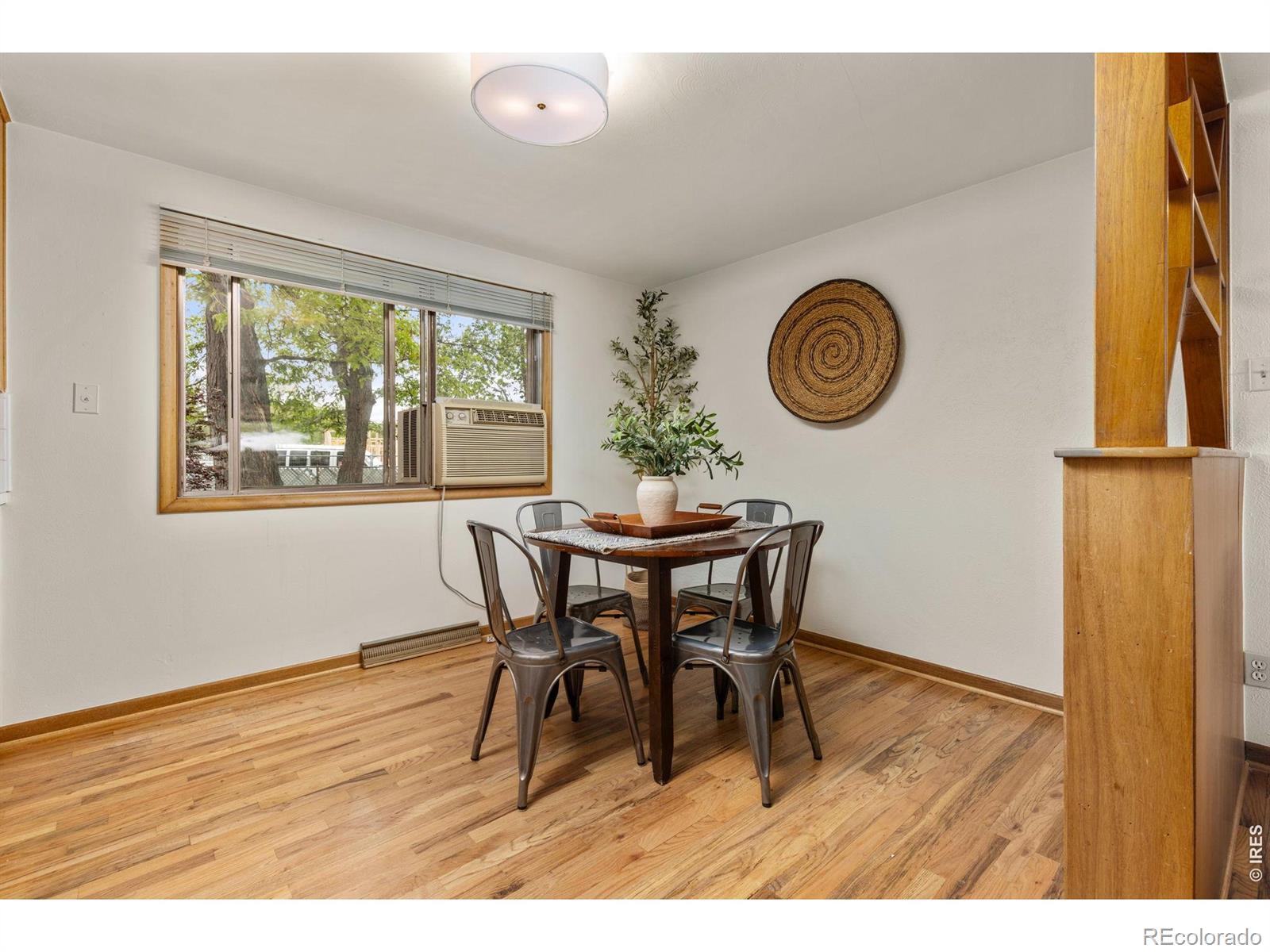 MLS Image #7 for 1224  judson street,longmont, Colorado