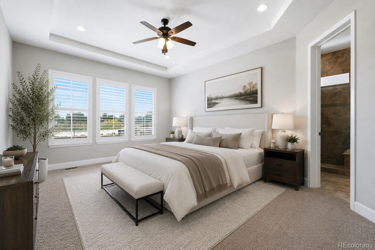 MLS Image #12 for 10222  atlanta street,parker, Colorado