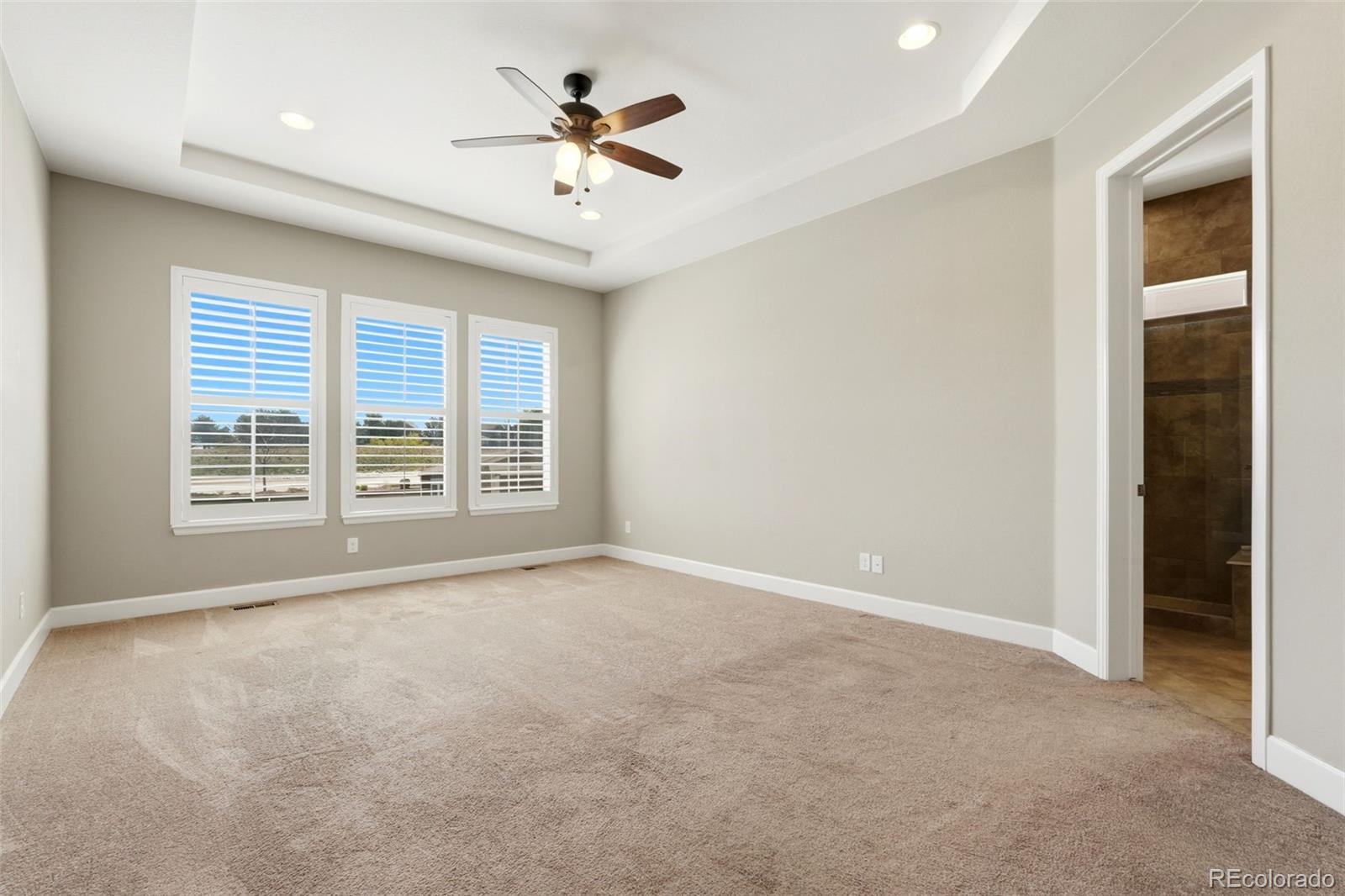 MLS Image #17 for 10222  atlanta street,parker, Colorado