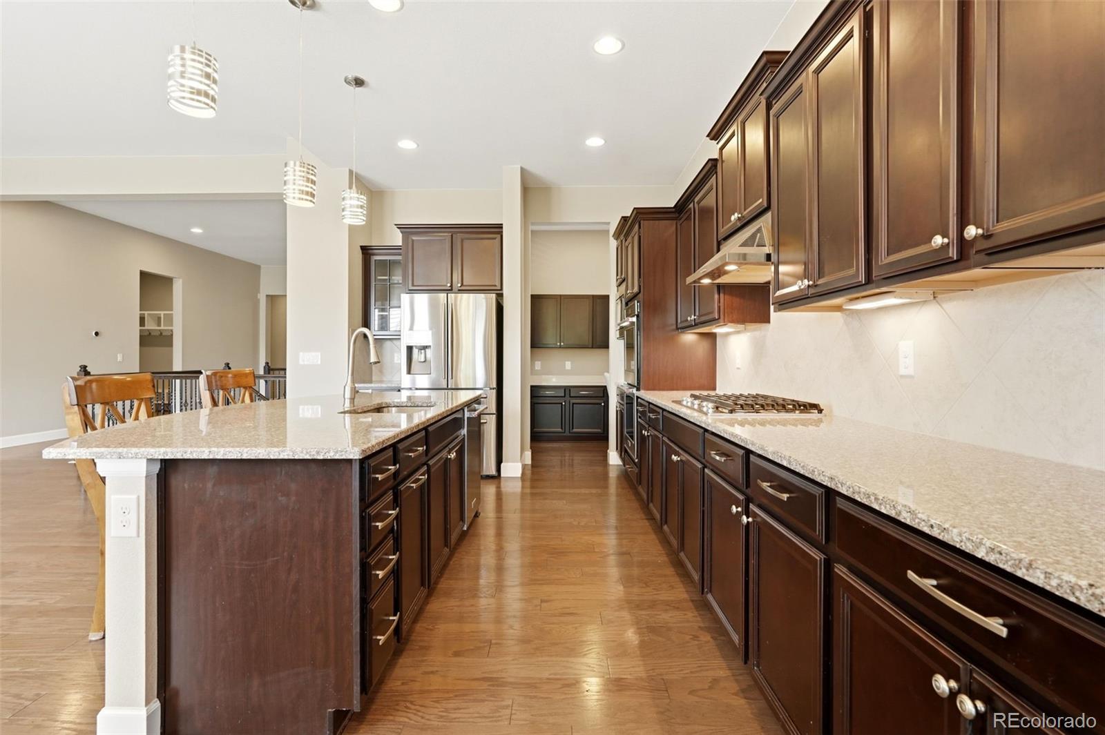 MLS Image #9 for 10222  atlanta street,parker, Colorado