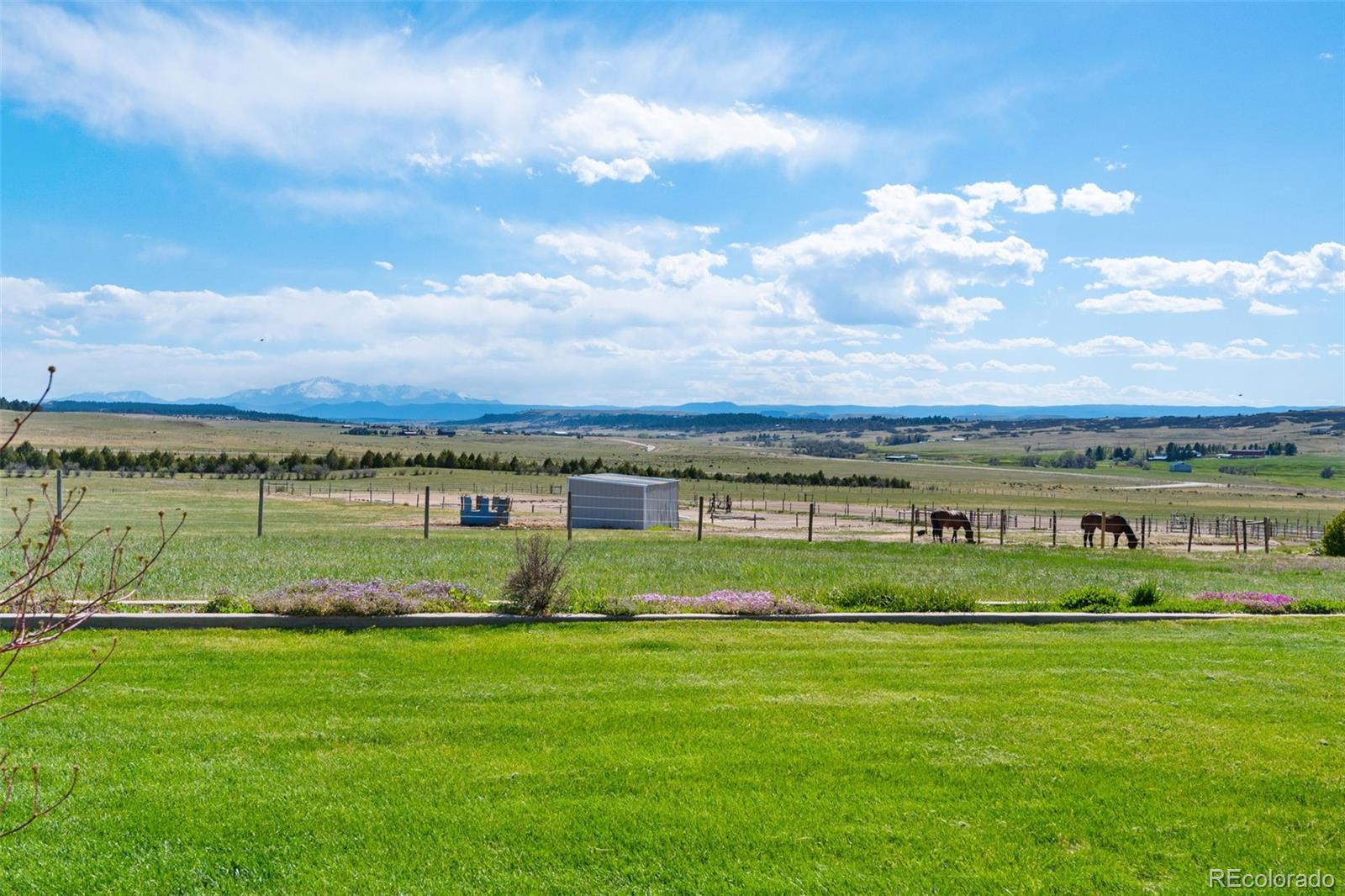 MLS Image #30 for 10547  gillian avenue,franktown, Colorado