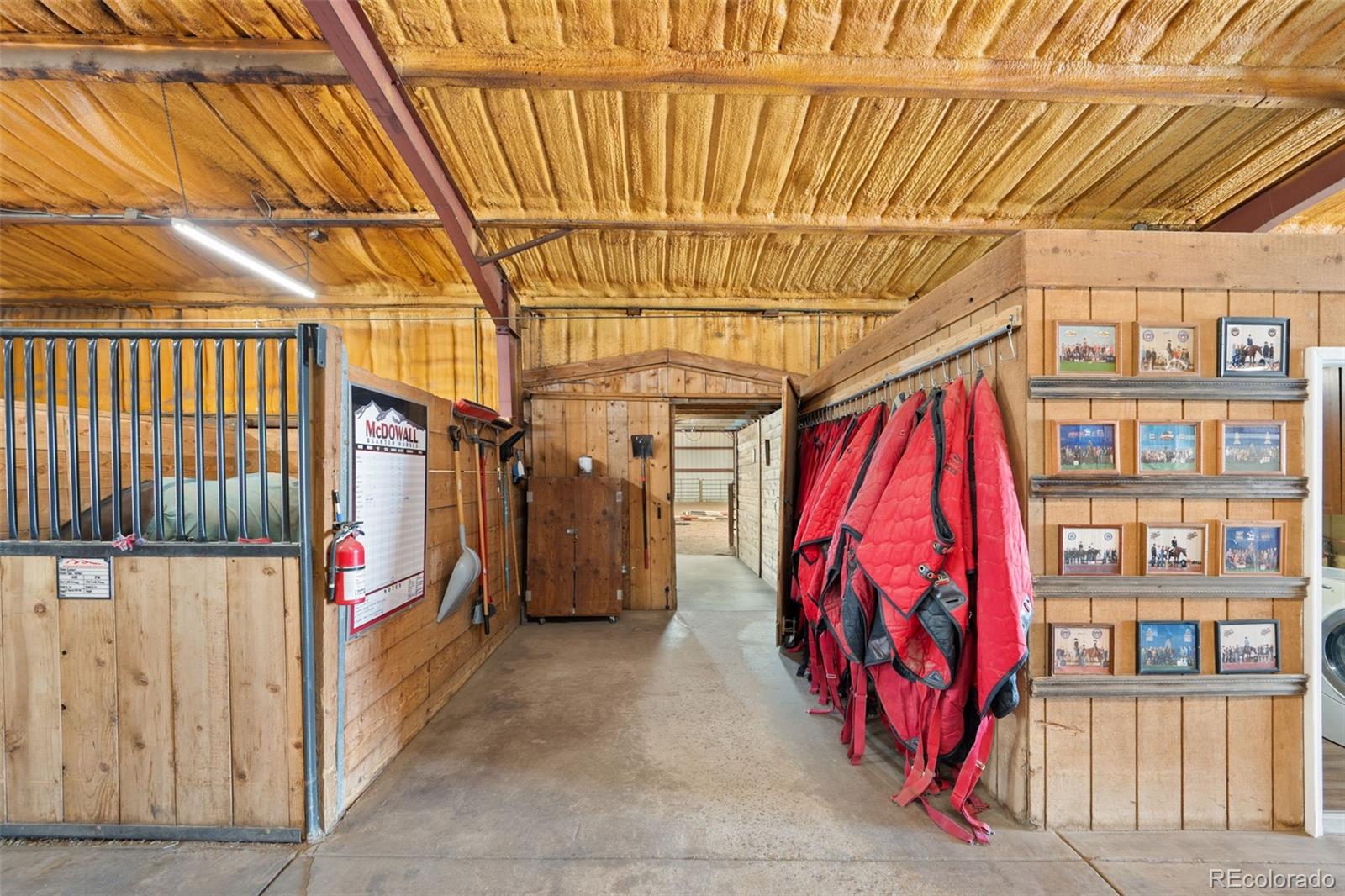 MLS Image #35 for 10547  gillian avenue,franktown, Colorado