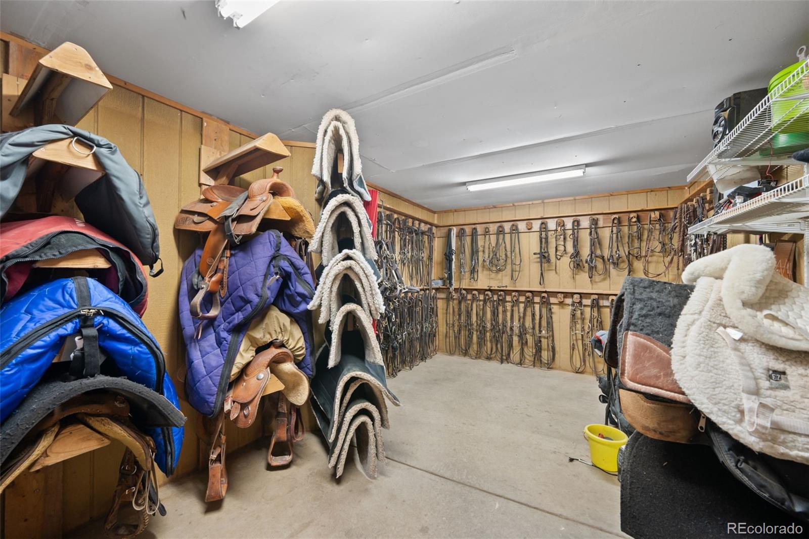 MLS Image #38 for 10547  gillian avenue,franktown, Colorado