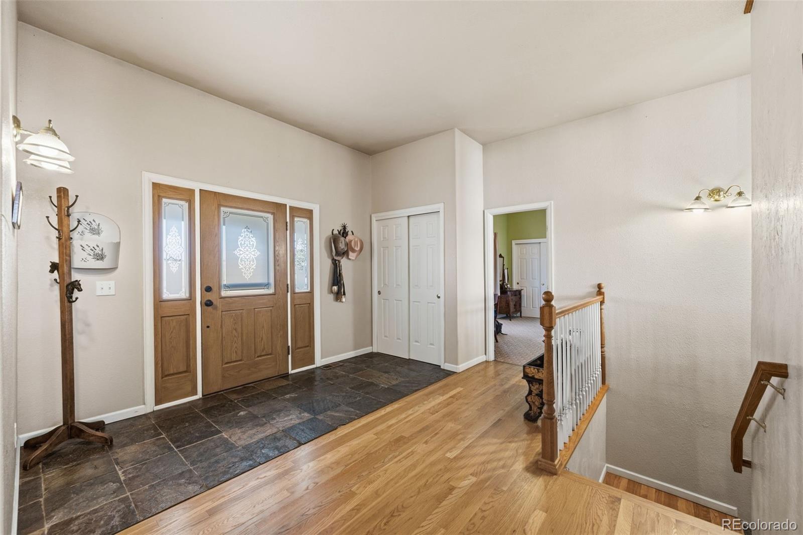 MLS Image #4 for 10547  gillian avenue,franktown, Colorado