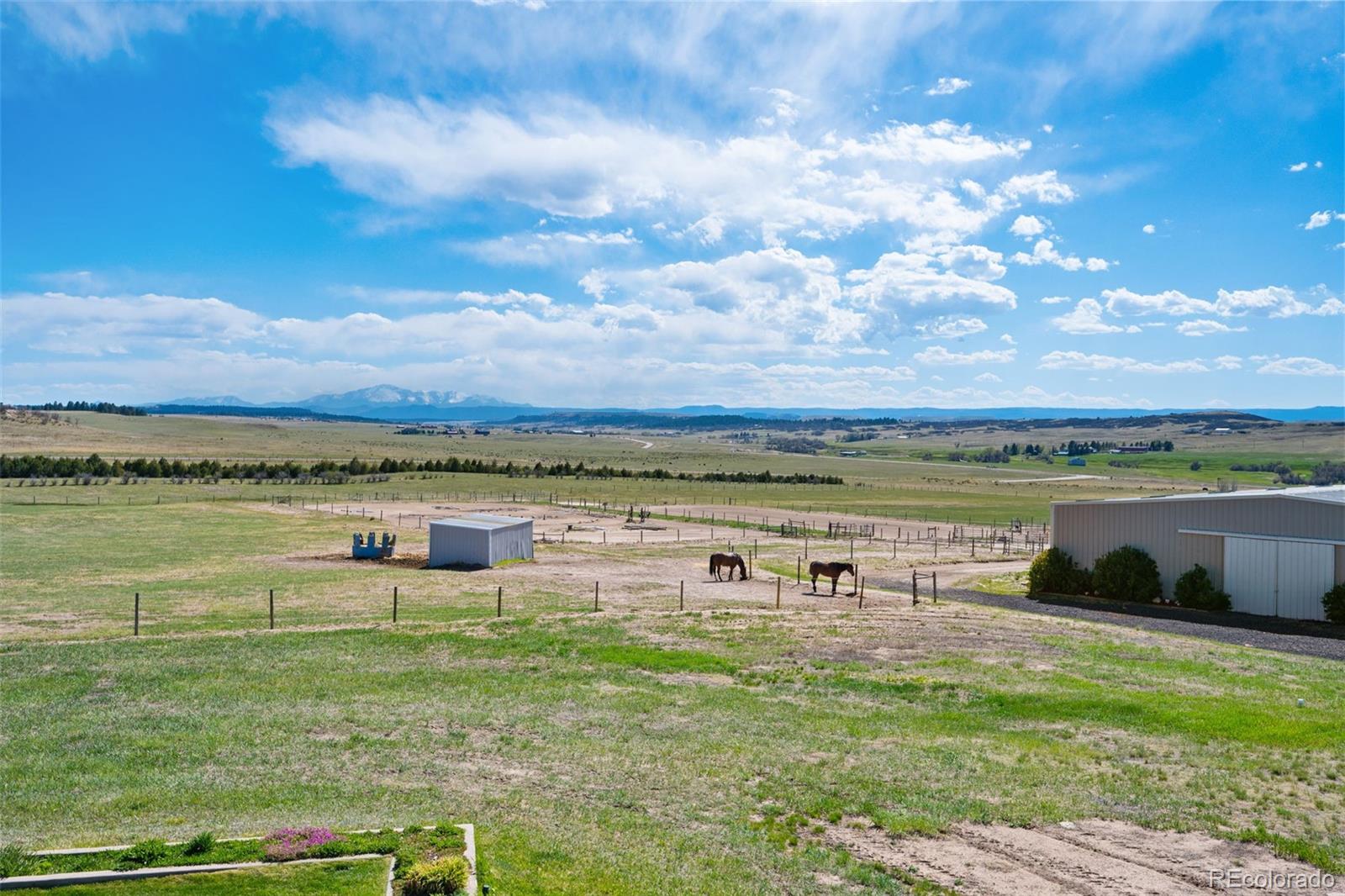 MLS Image #40 for 10547  gillian avenue,franktown, Colorado