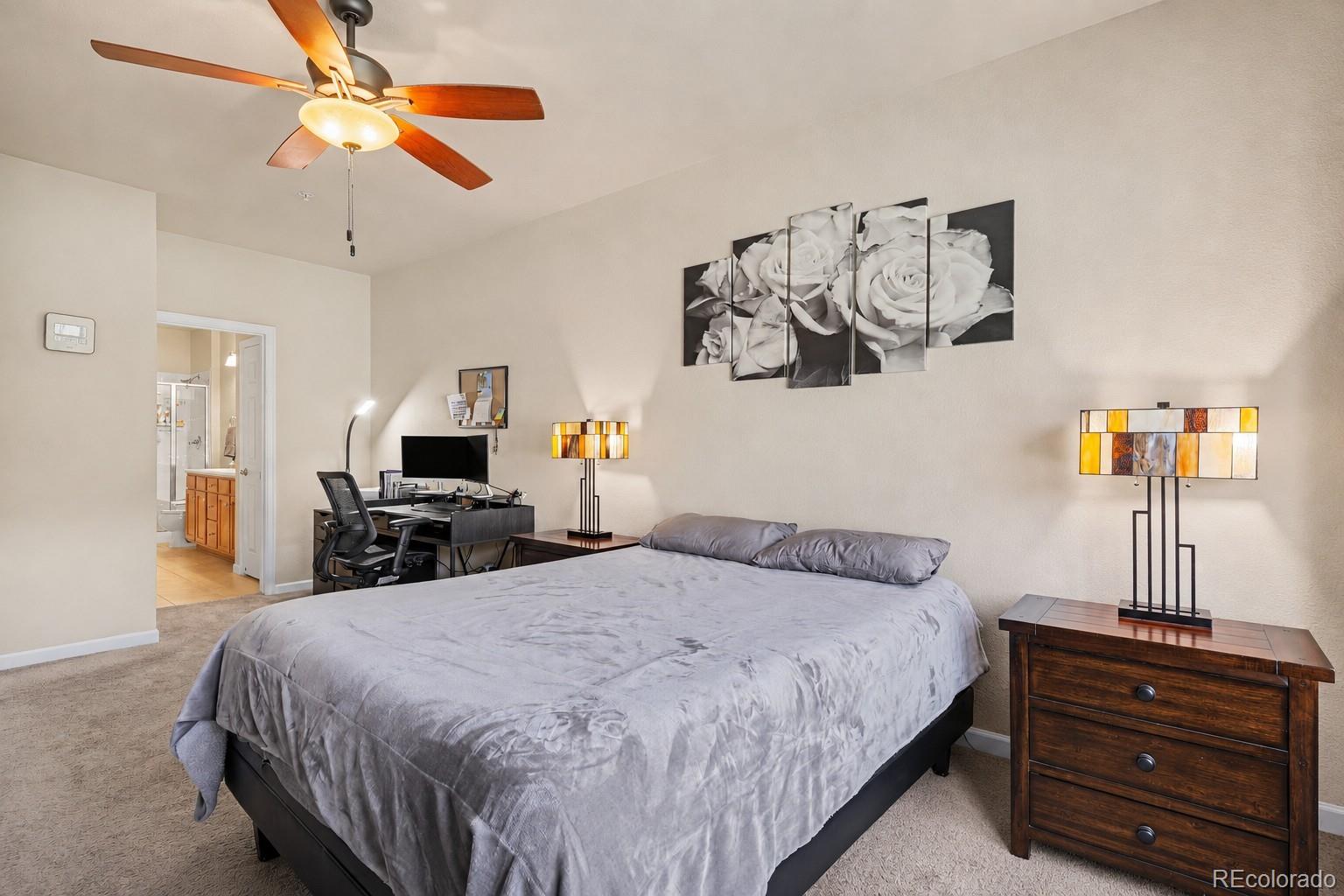 MLS Image #18 for 9359  las ramblas court,parker, Colorado