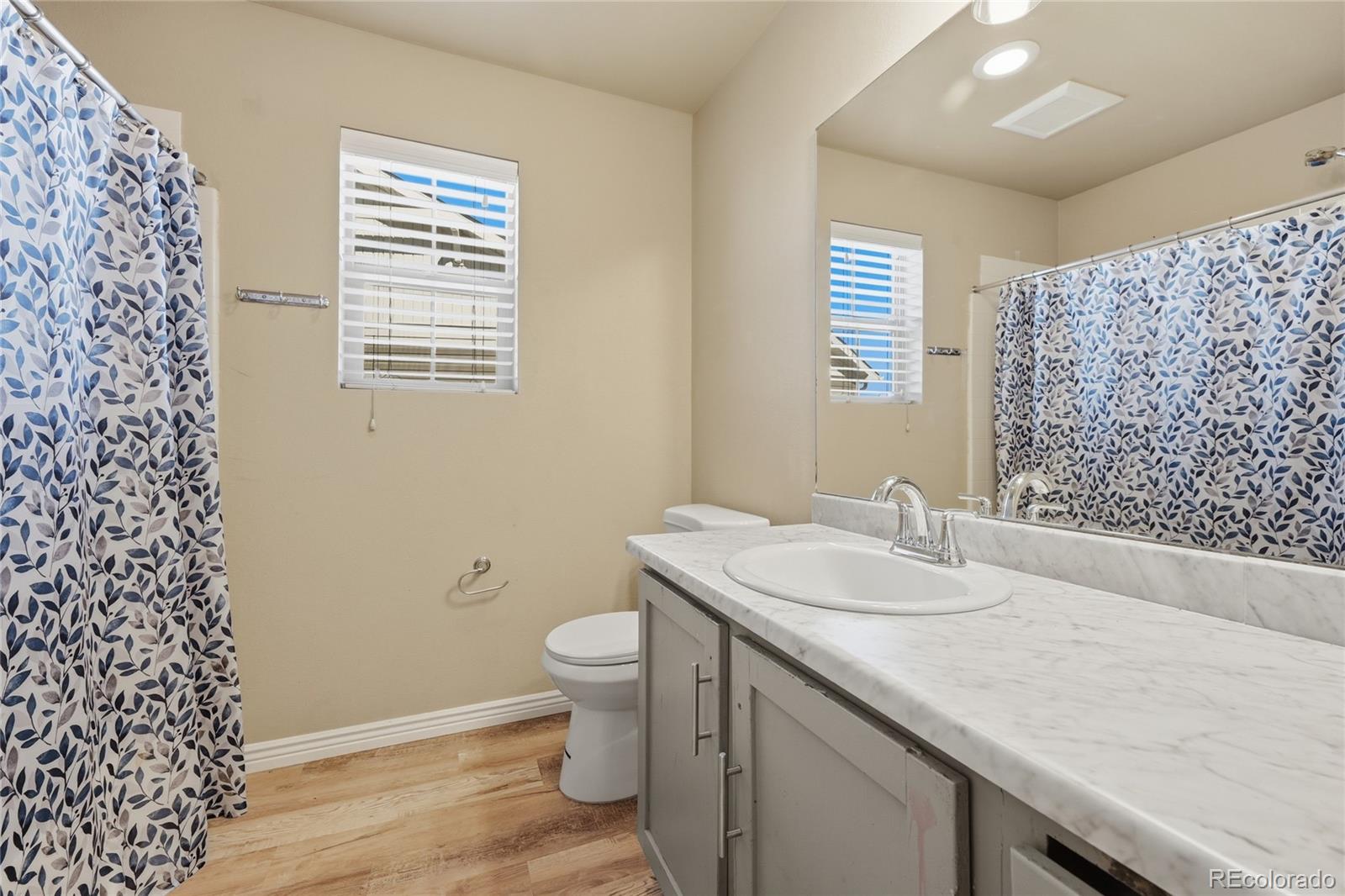 MLS Image #14 for 18261 e 47th drive,denver, Colorado
