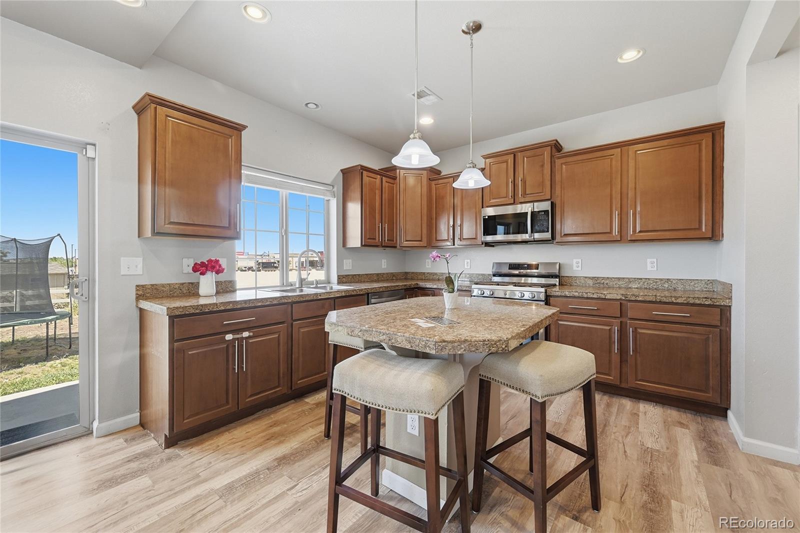 MLS Image #8 for 18261 e 47th drive,denver, Colorado