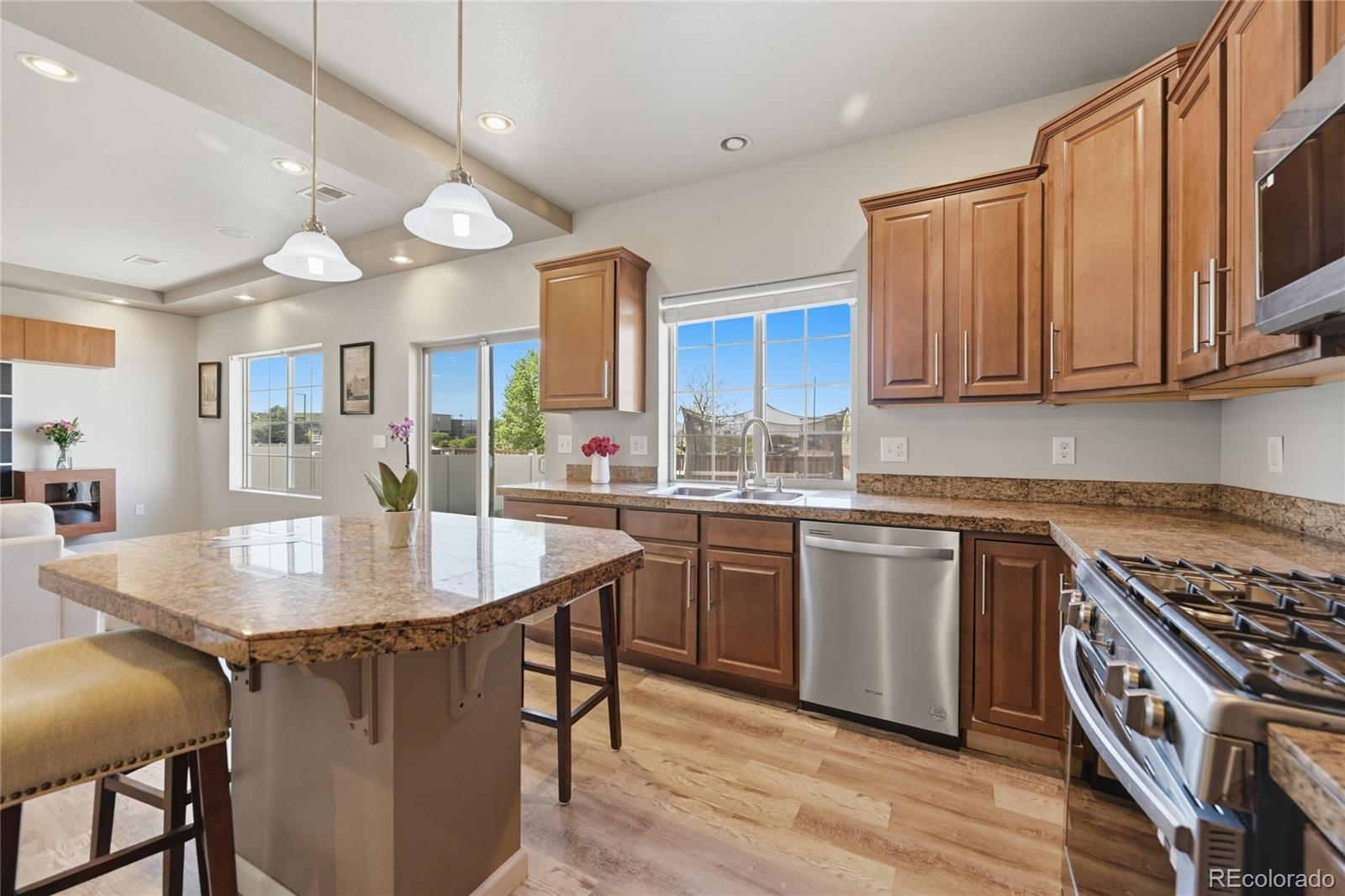 MLS Image #9 for 18261 e 47th drive,denver, Colorado