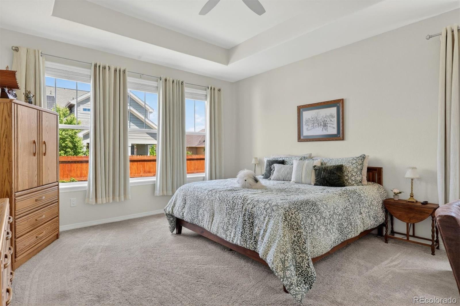 MLS Image #24 for 16356  columbine place,thornton, Colorado