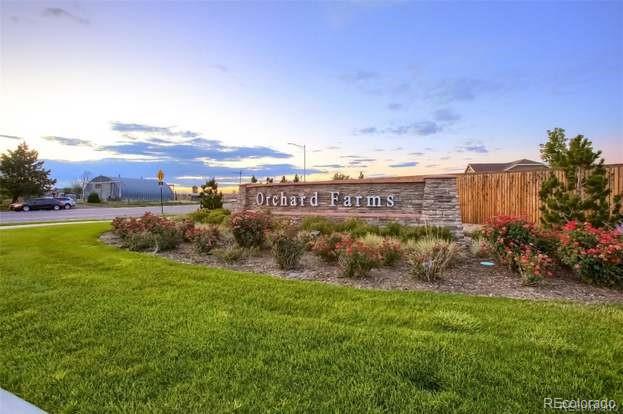 MLS Image #42 for 16356  columbine place,thornton, Colorado