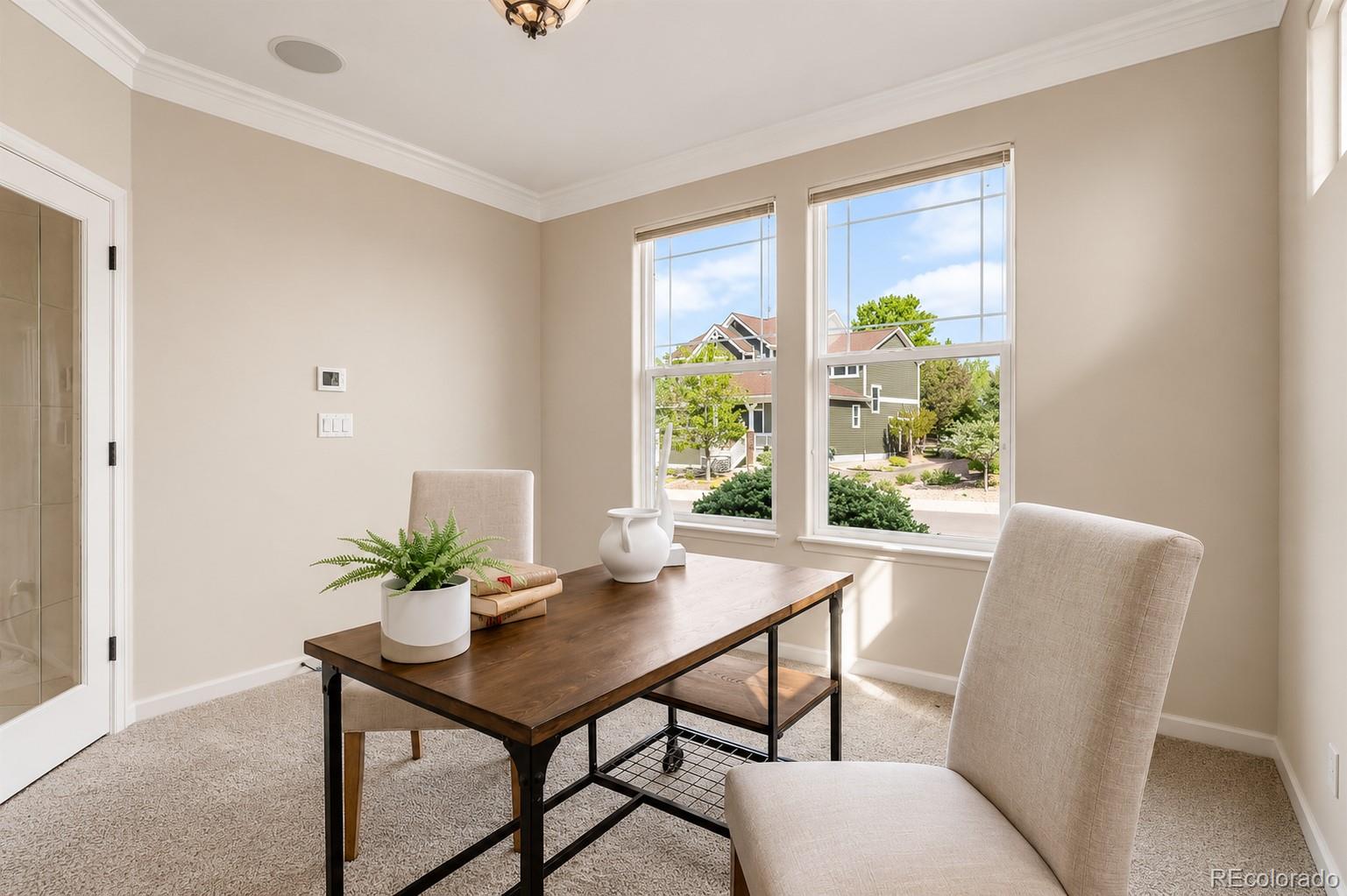 MLS Image #14 for 2909  dreamcatcher loop,castle rock, Colorado