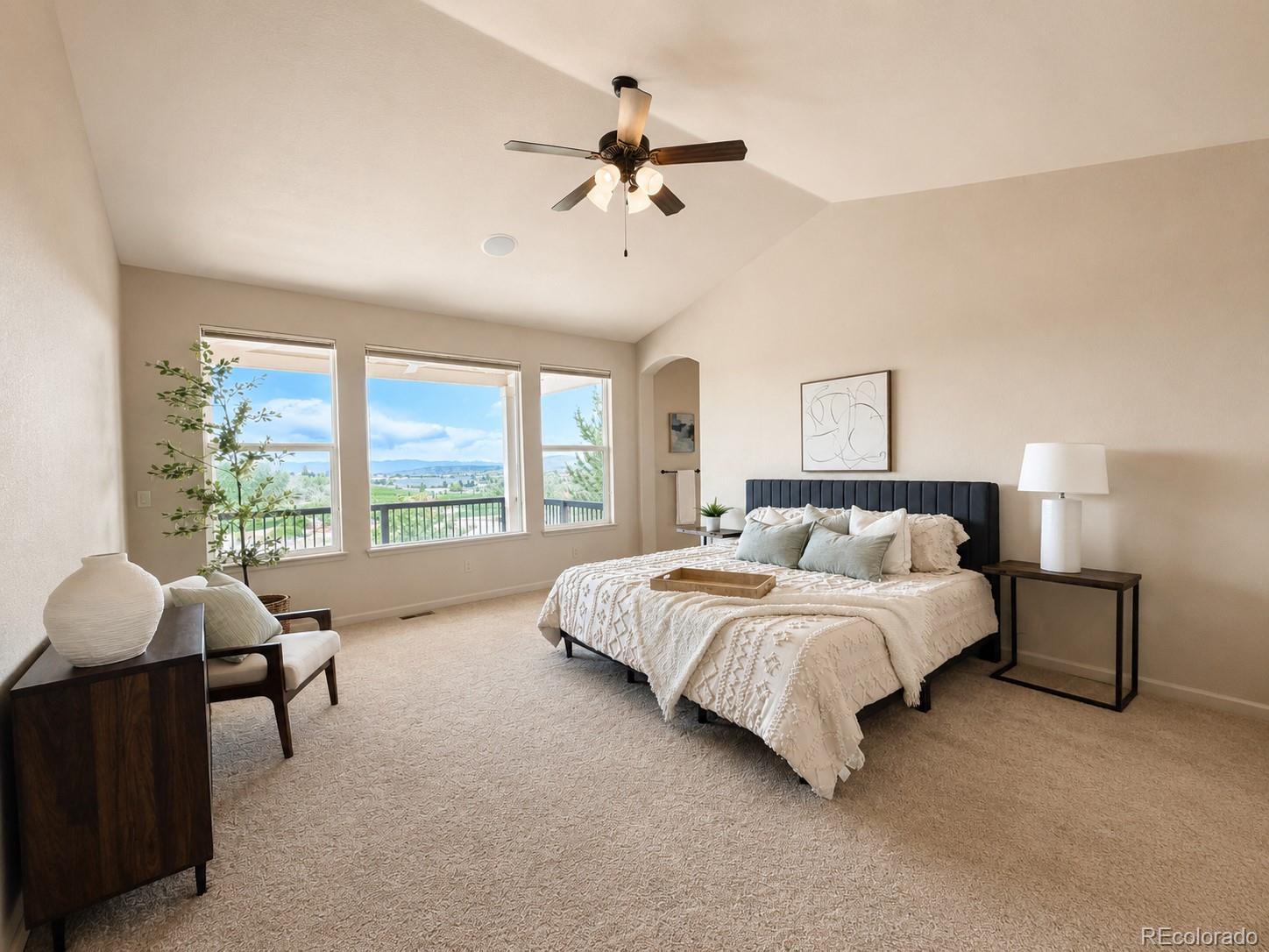 MLS Image #16 for 2909  dreamcatcher loop,castle rock, Colorado