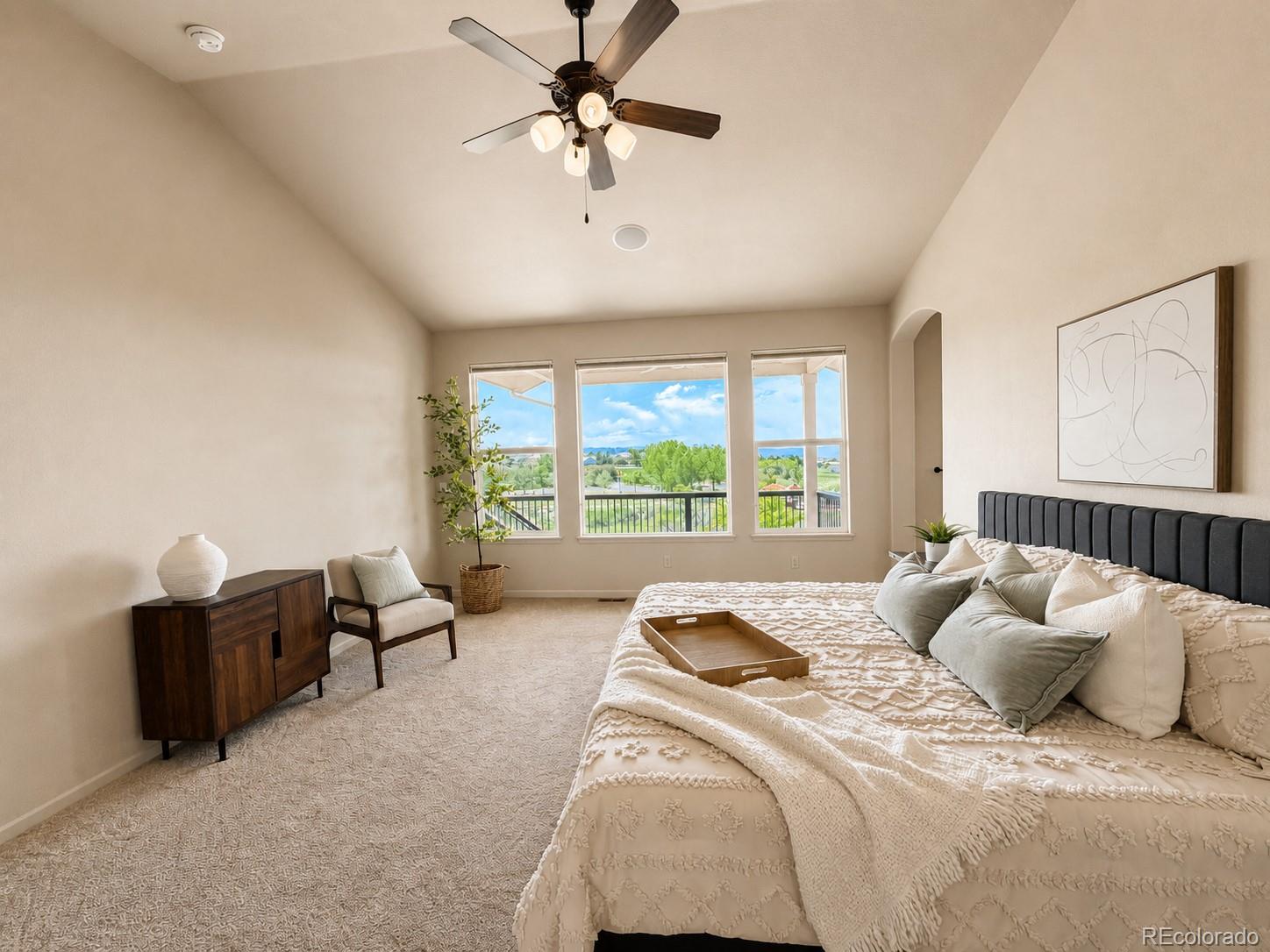 MLS Image #17 for 2909  dreamcatcher loop,castle rock, Colorado