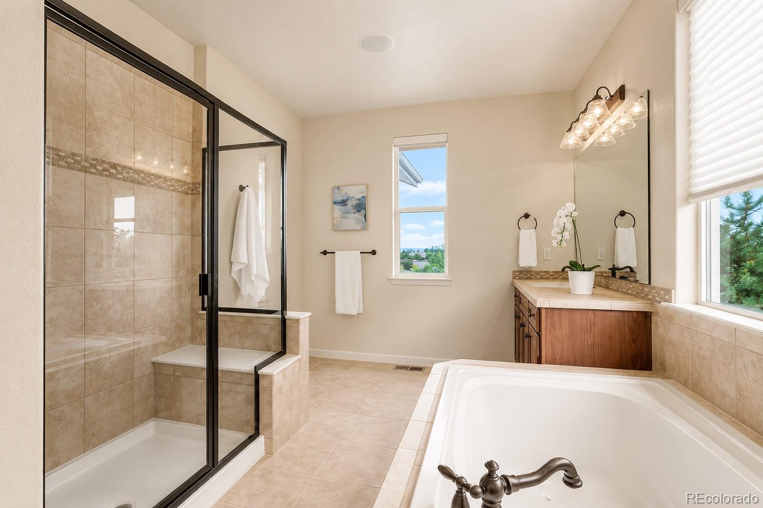 MLS Image #21 for 2909  dreamcatcher loop,castle rock, Colorado