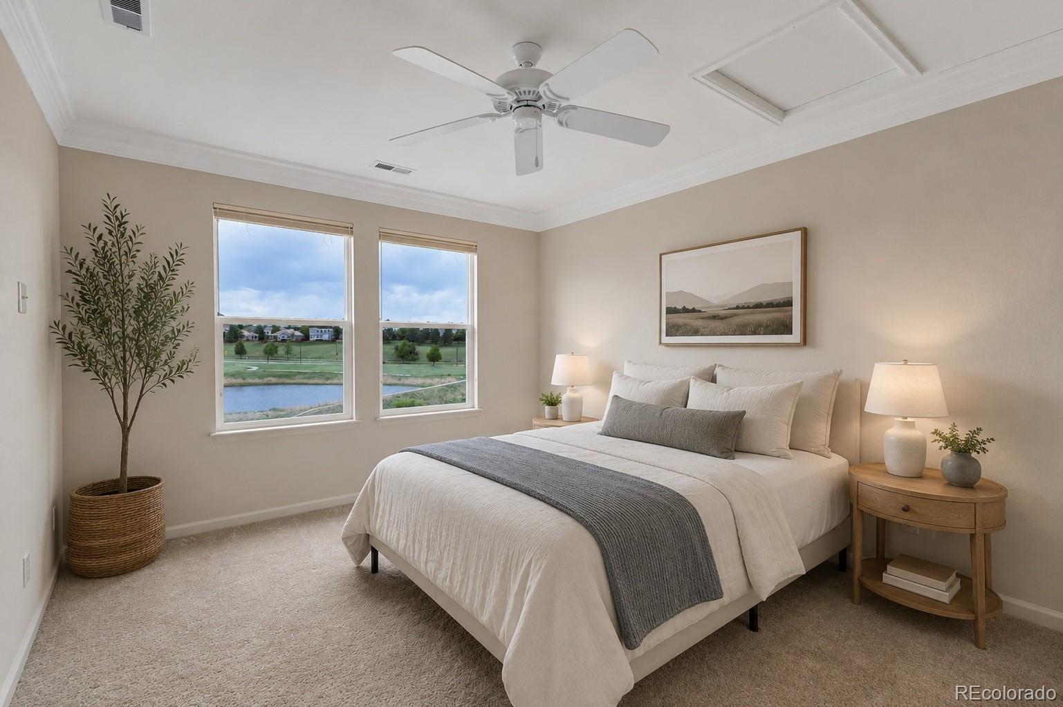 MLS Image #24 for 2909  dreamcatcher loop,castle rock, Colorado
