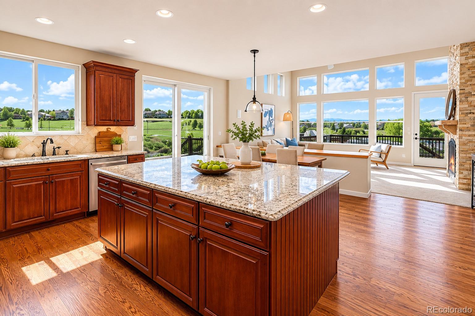 MLS Image #5 for 2909  dreamcatcher loop,castle rock, Colorado