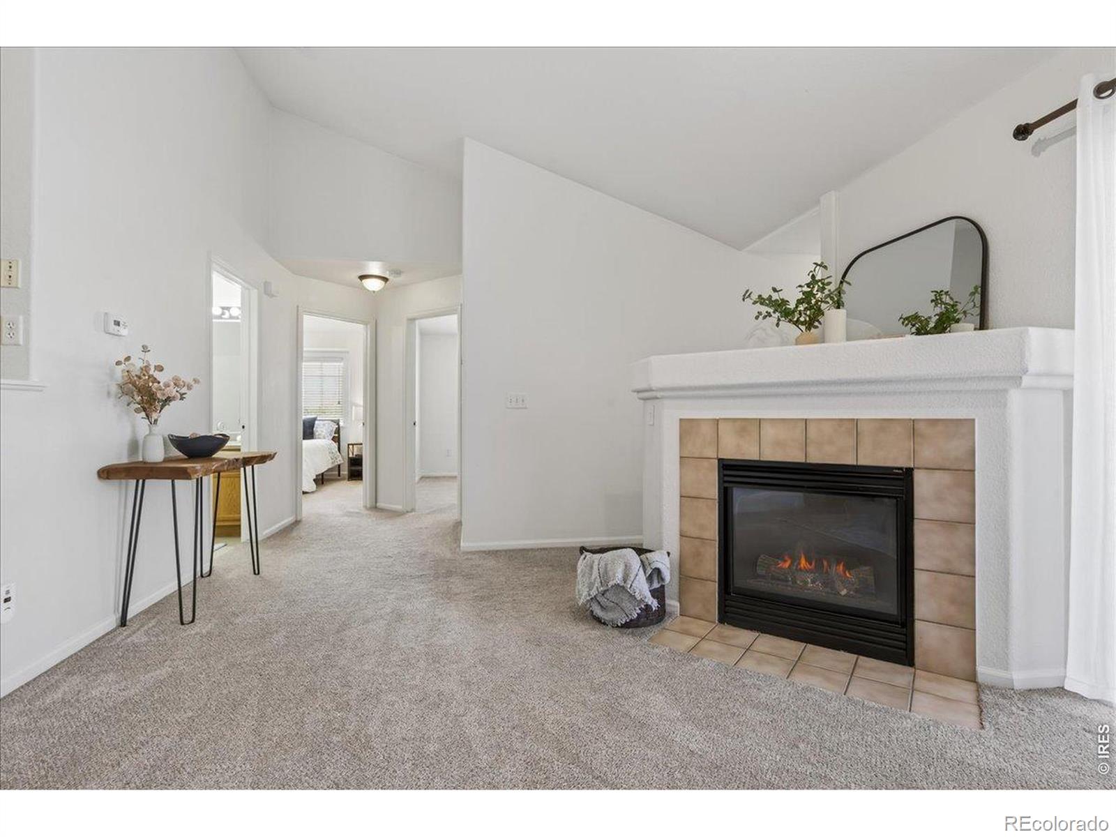 MLS Image #9 for 10381  cook way,thornton, Colorado