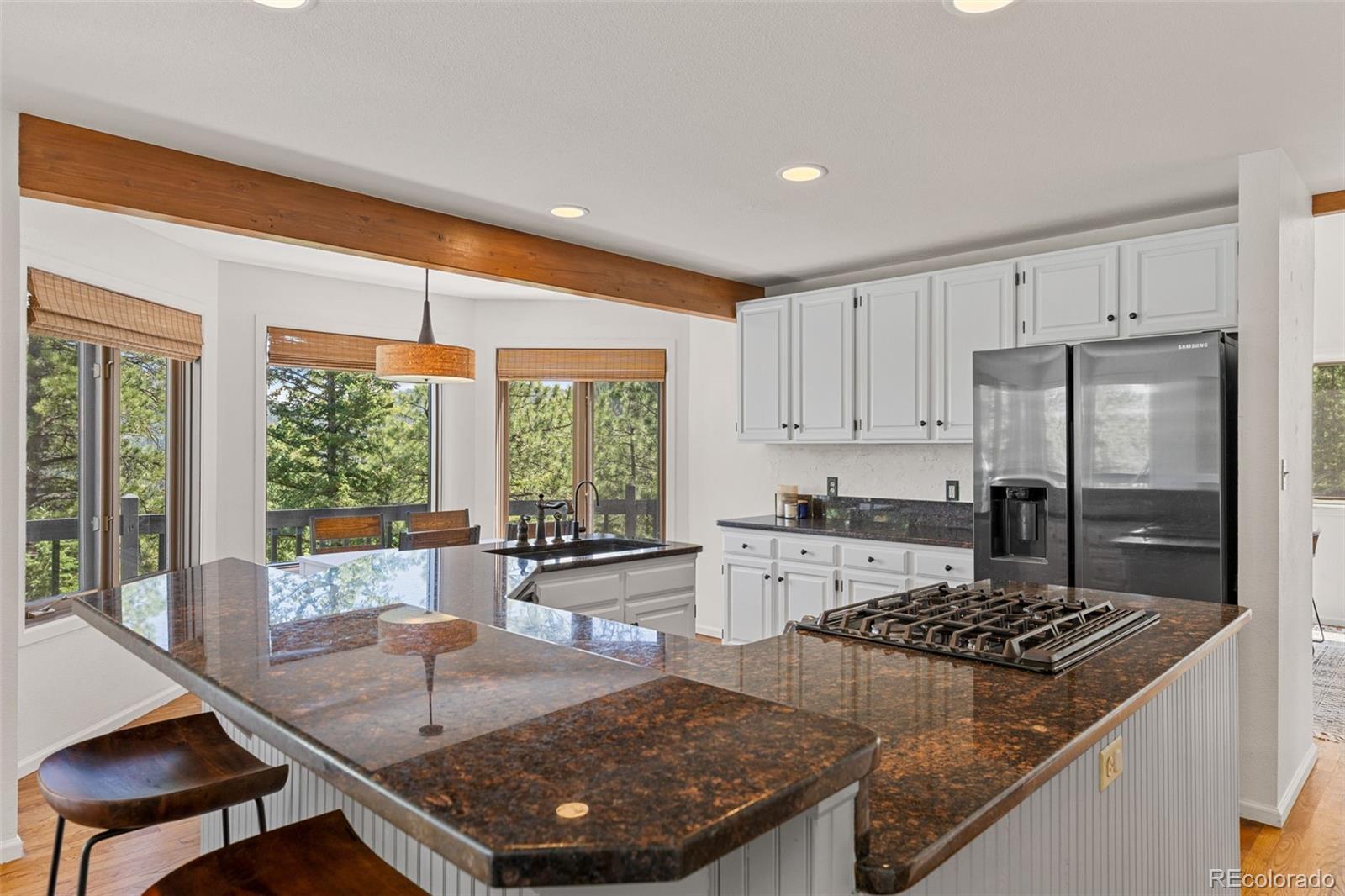 MLS Image #14 for 6159 s skyline drive,evergreen, Colorado