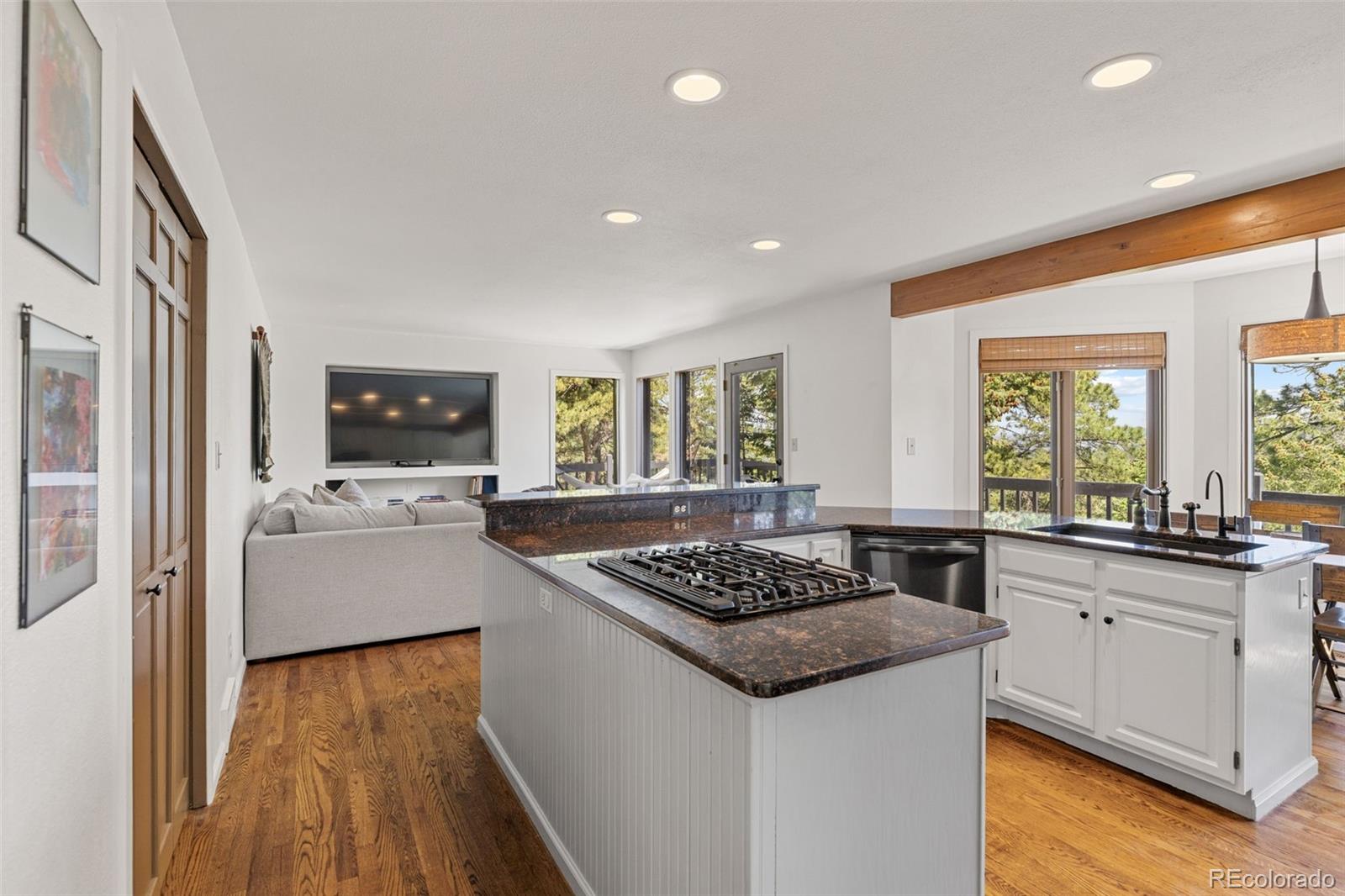 MLS Image #15 for 6159 s skyline drive,evergreen, Colorado