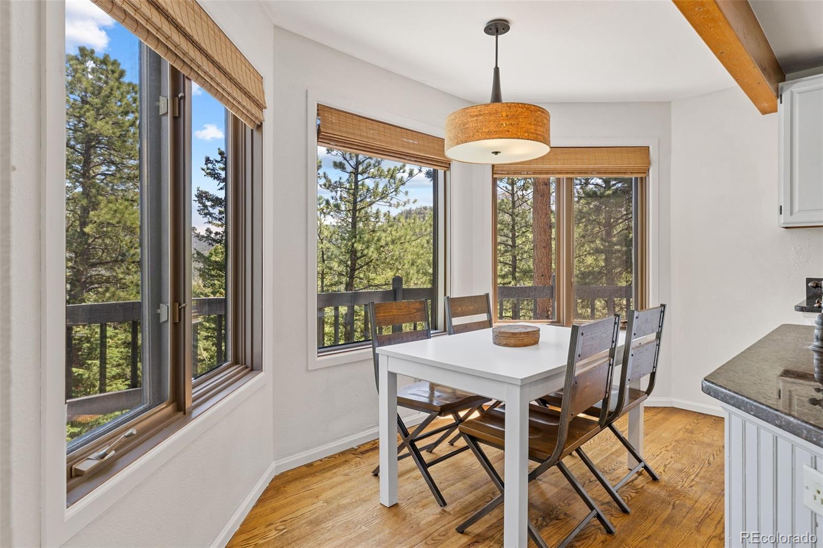 MLS Image #16 for 6159 s skyline drive,evergreen, Colorado