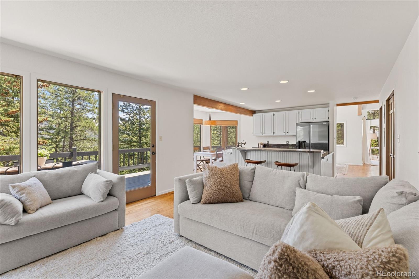 MLS Image #19 for 6159 s skyline drive,evergreen, Colorado