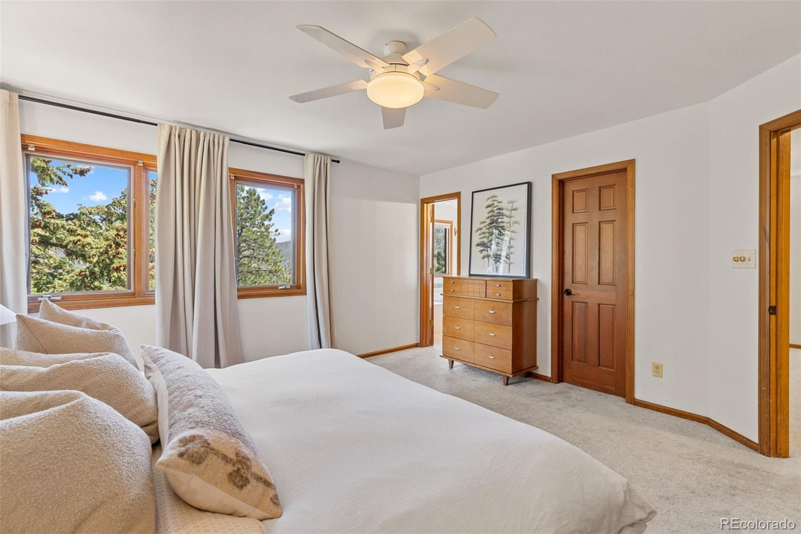 MLS Image #22 for 6159 s skyline drive,evergreen, Colorado