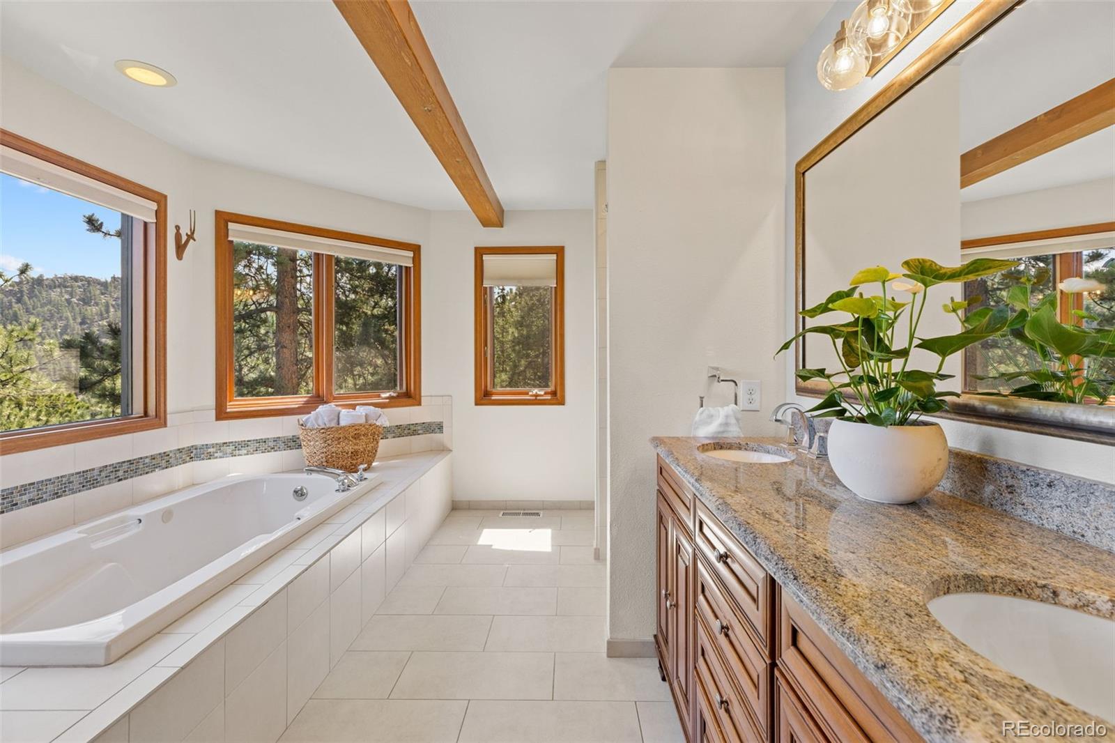MLS Image #24 for 6159 s skyline drive,evergreen, Colorado