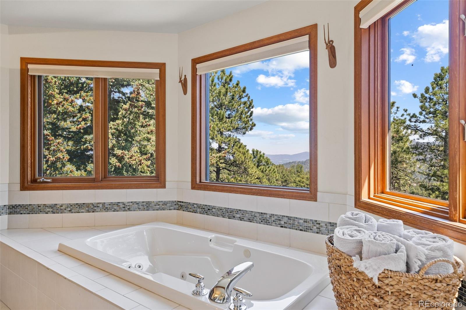 MLS Image #26 for 6159 s skyline drive,evergreen, Colorado