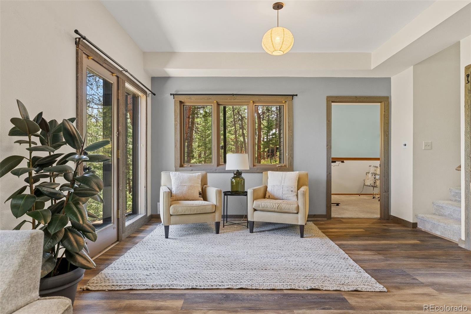MLS Image #27 for 6159 s skyline drive,evergreen, Colorado