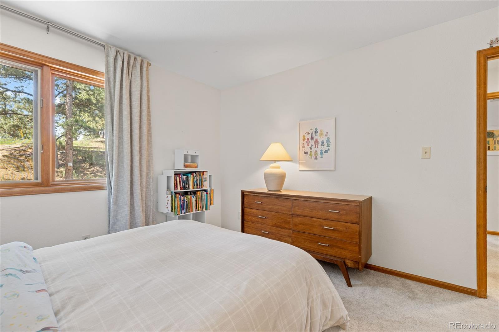 MLS Image #34 for 6159 s skyline drive,evergreen, Colorado