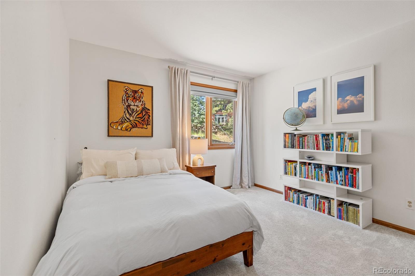 MLS Image #35 for 6159 s skyline drive,evergreen, Colorado