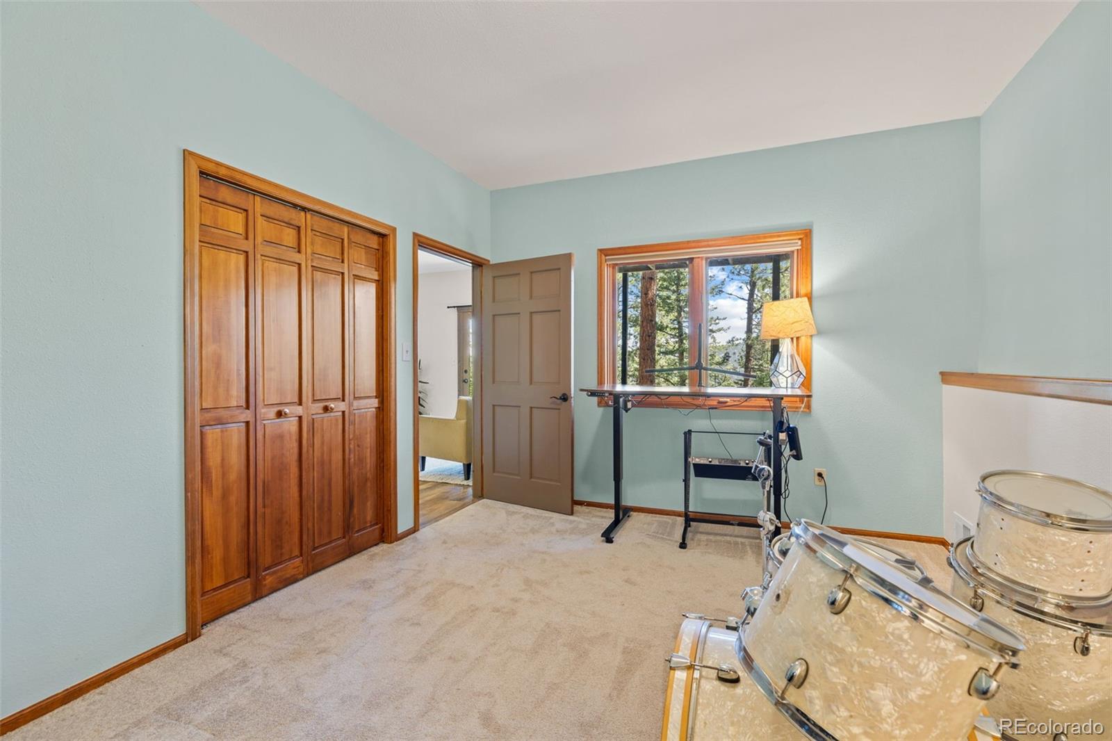 MLS Image #38 for 6159 s skyline drive,evergreen, Colorado