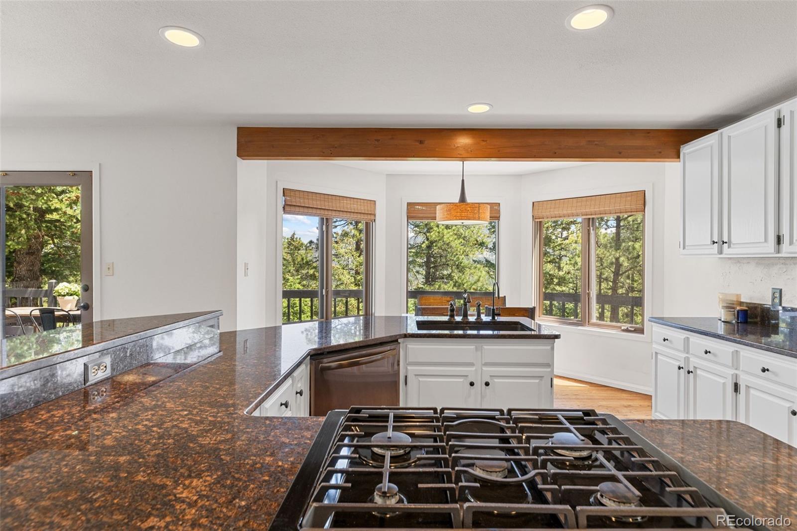 MLS Image #41 for 6159 s skyline drive,evergreen, Colorado